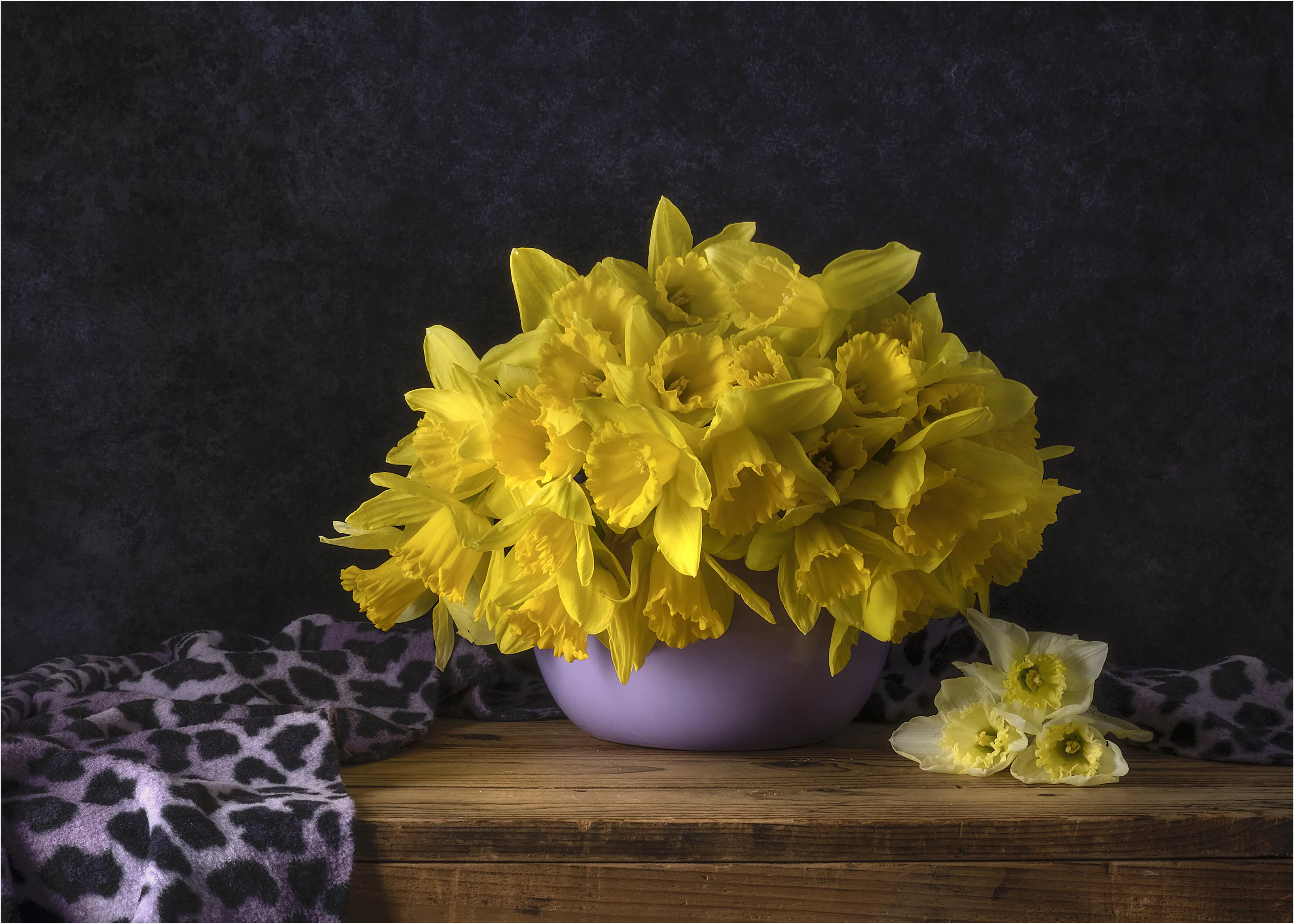 Daffodils