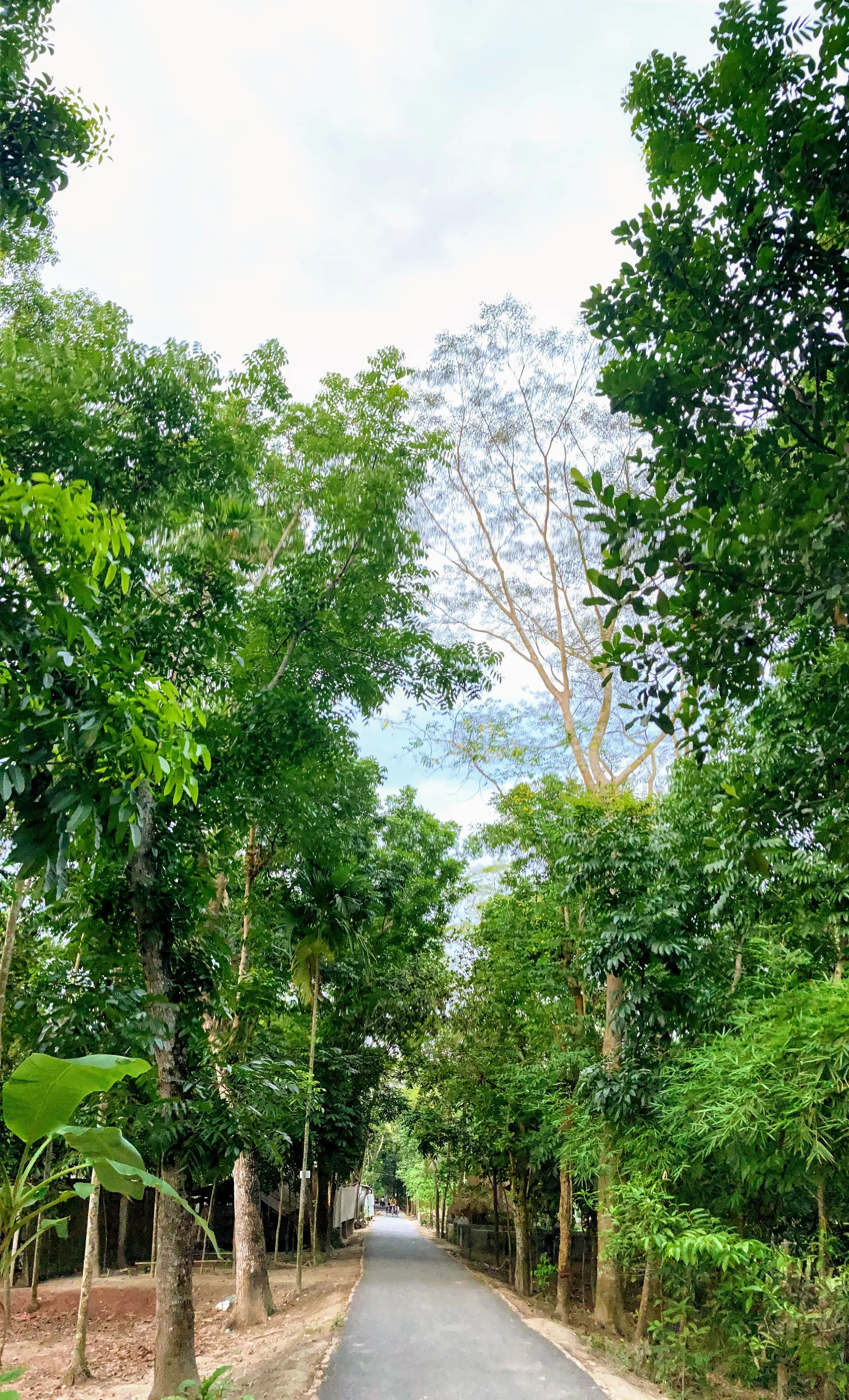 nature vibe