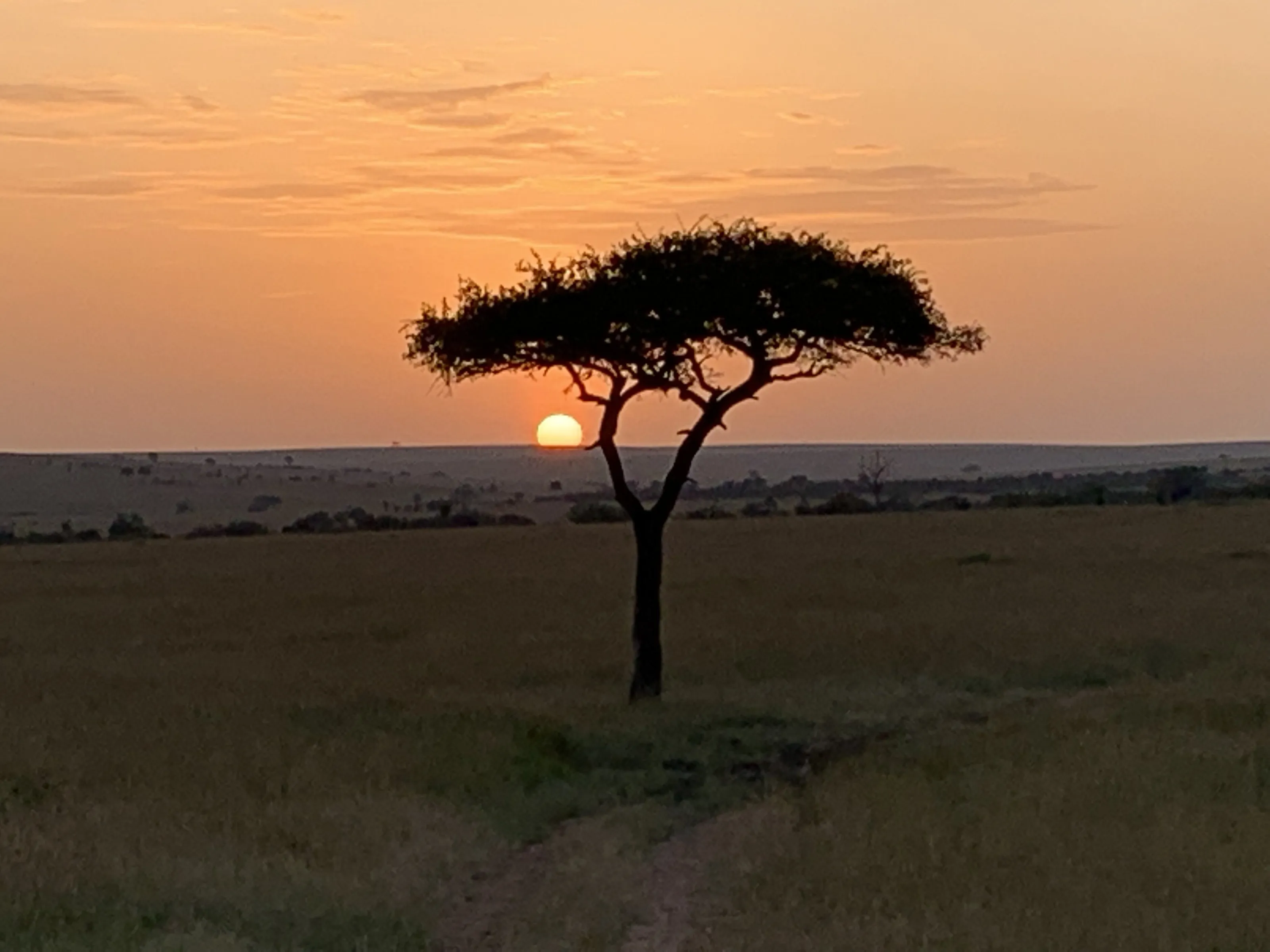 Sunset in africa