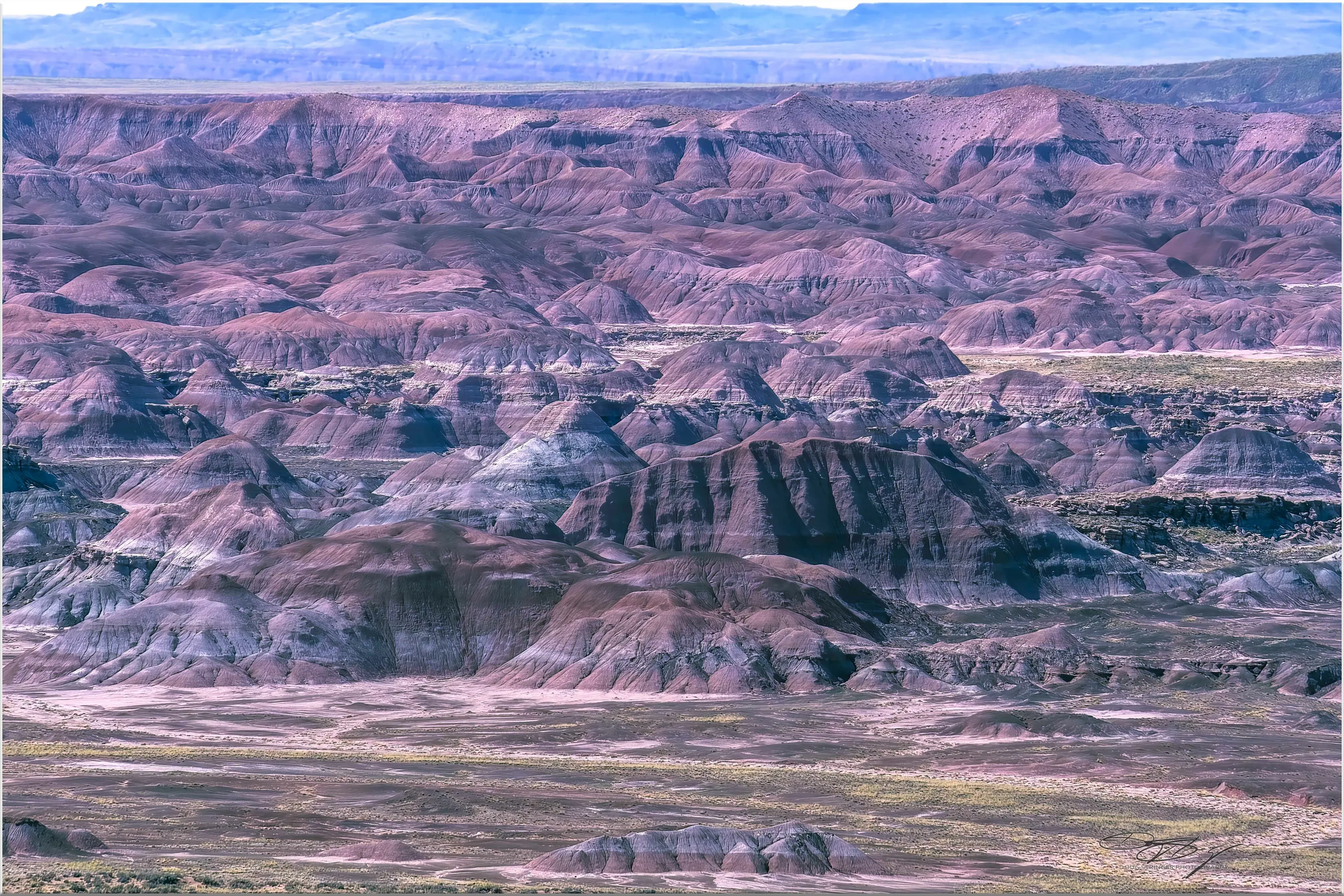 Petrified Forest National Park-Nizhoni Point