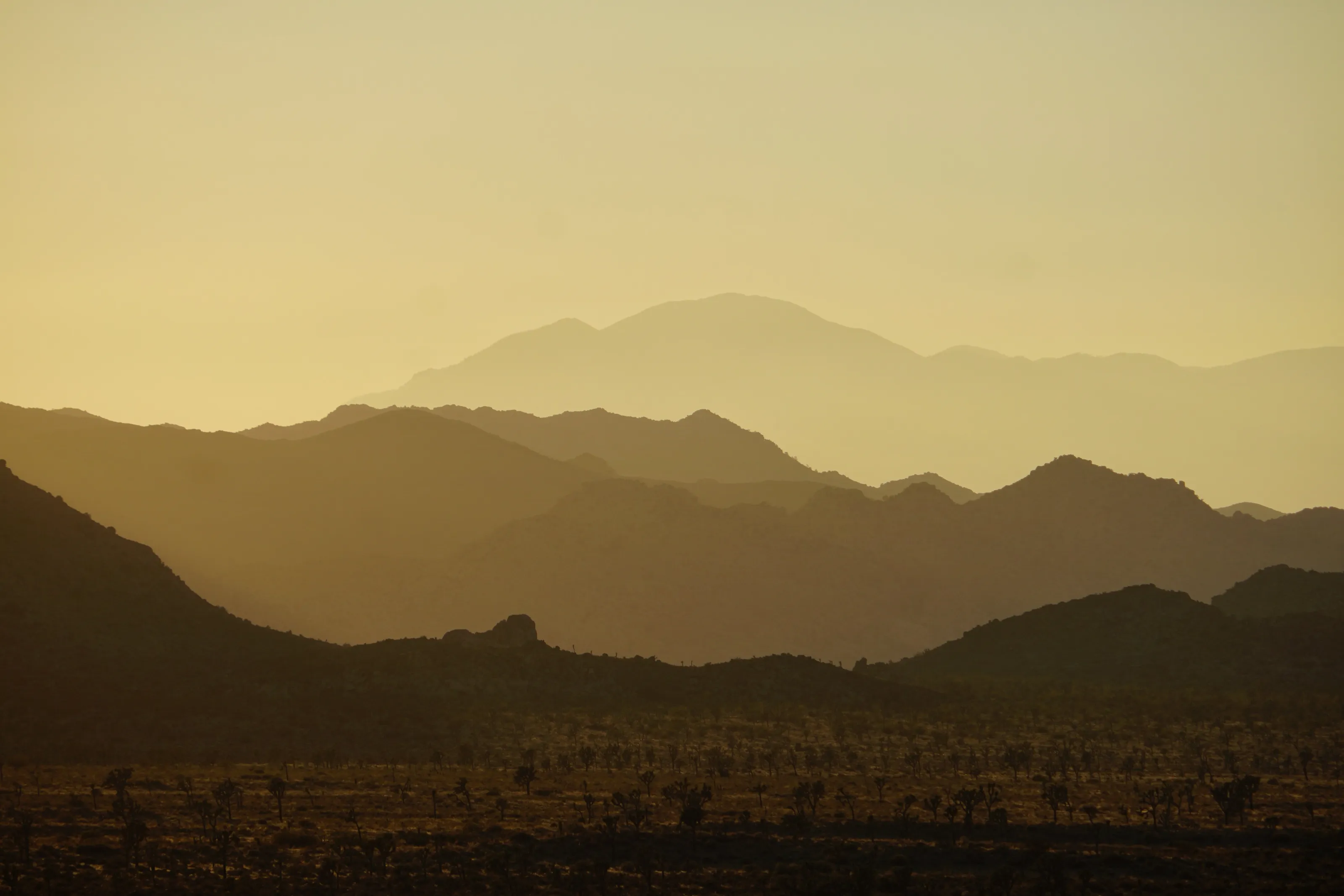 Desert Haze