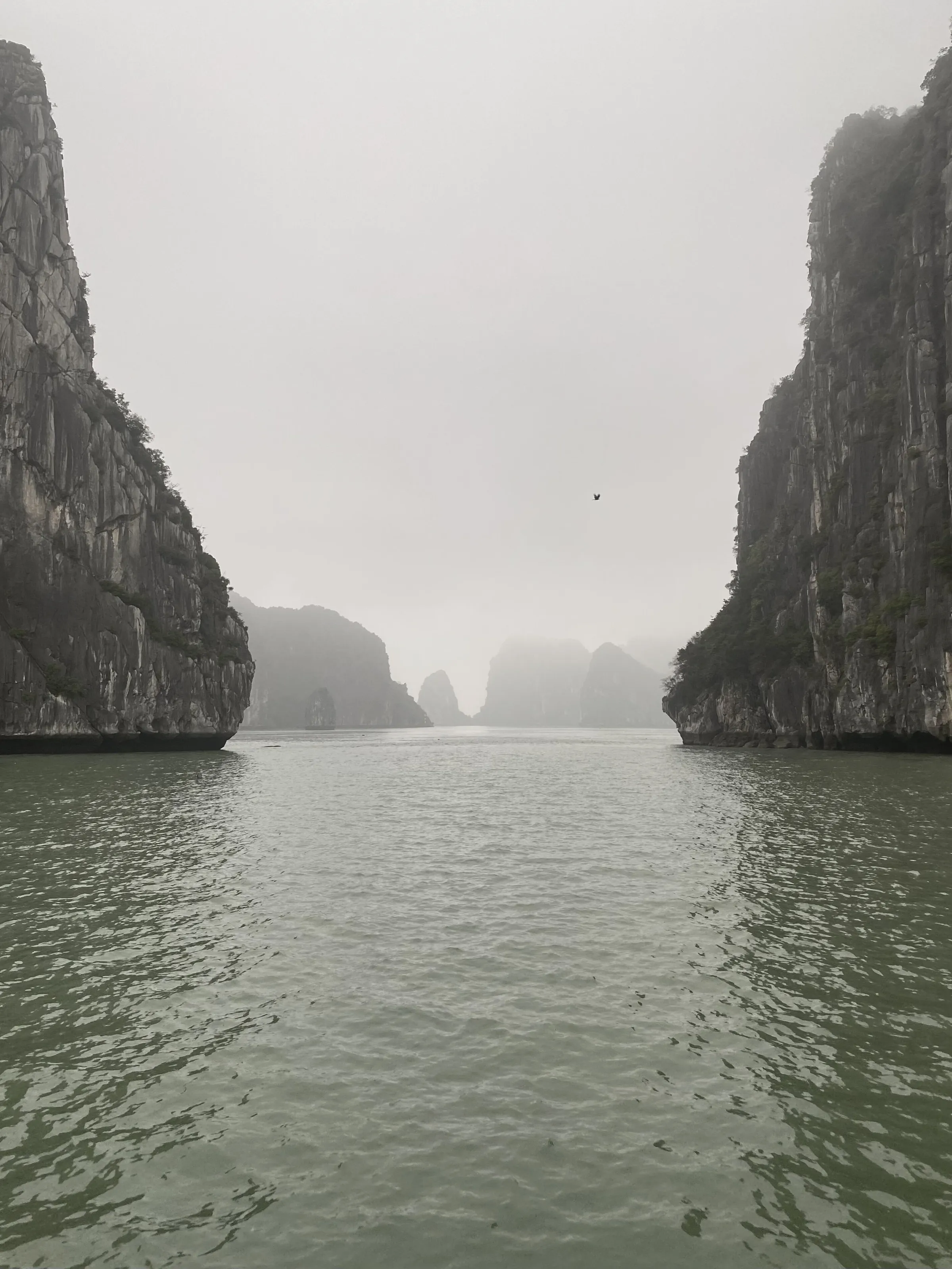 A misty moment.
