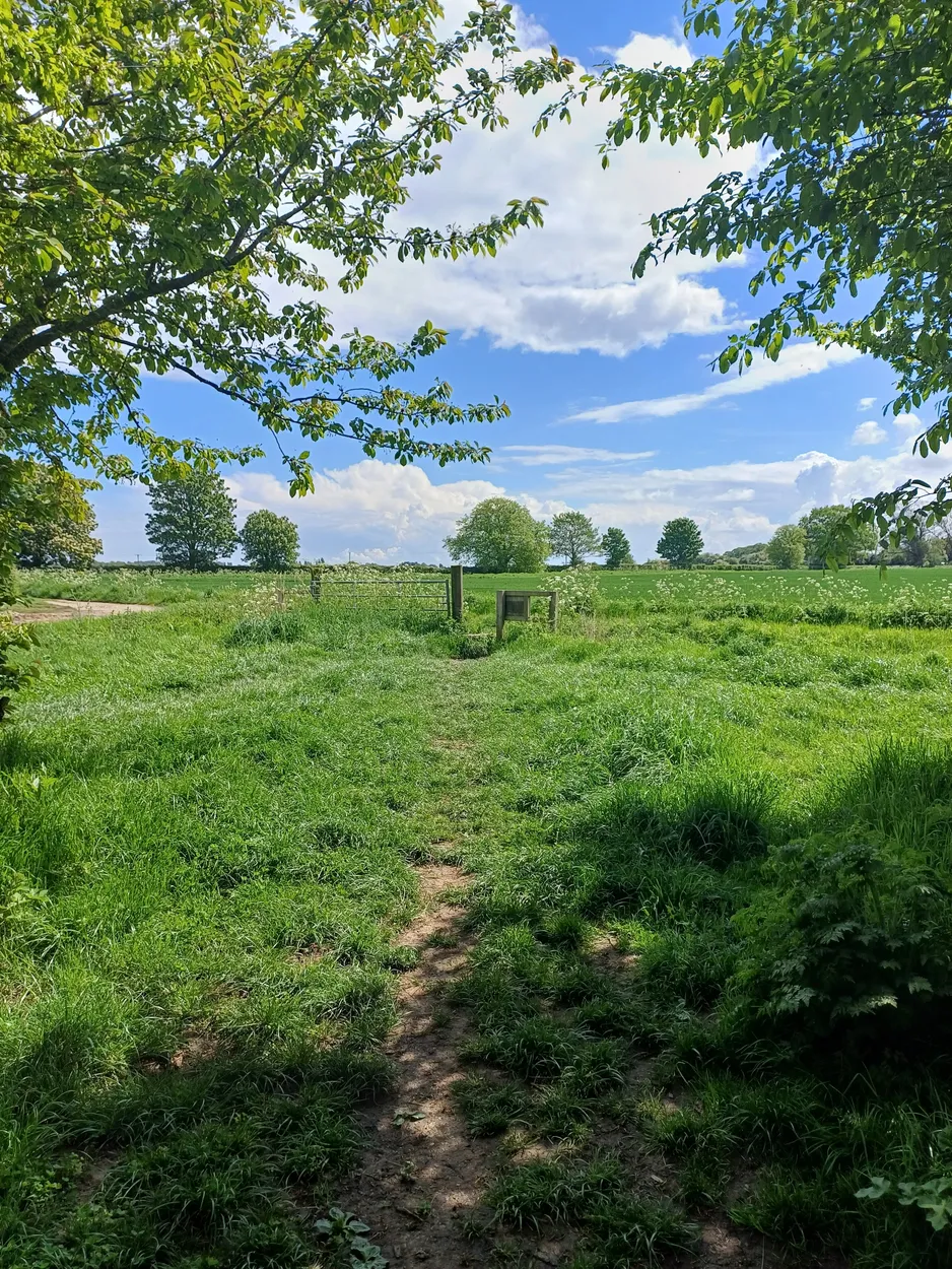 Entry 16830486