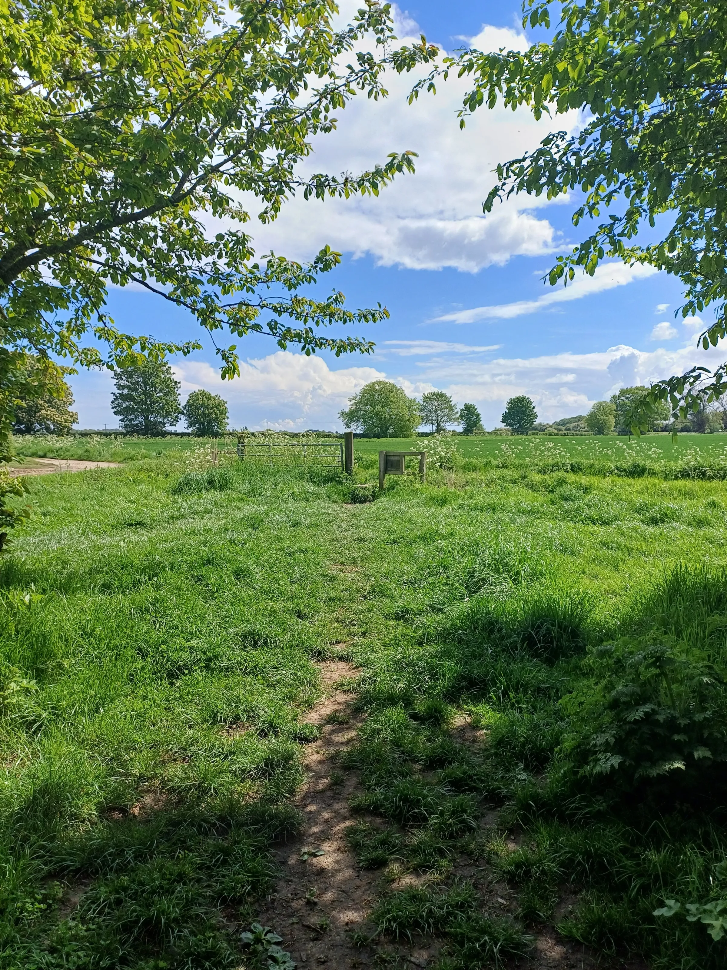 Spring