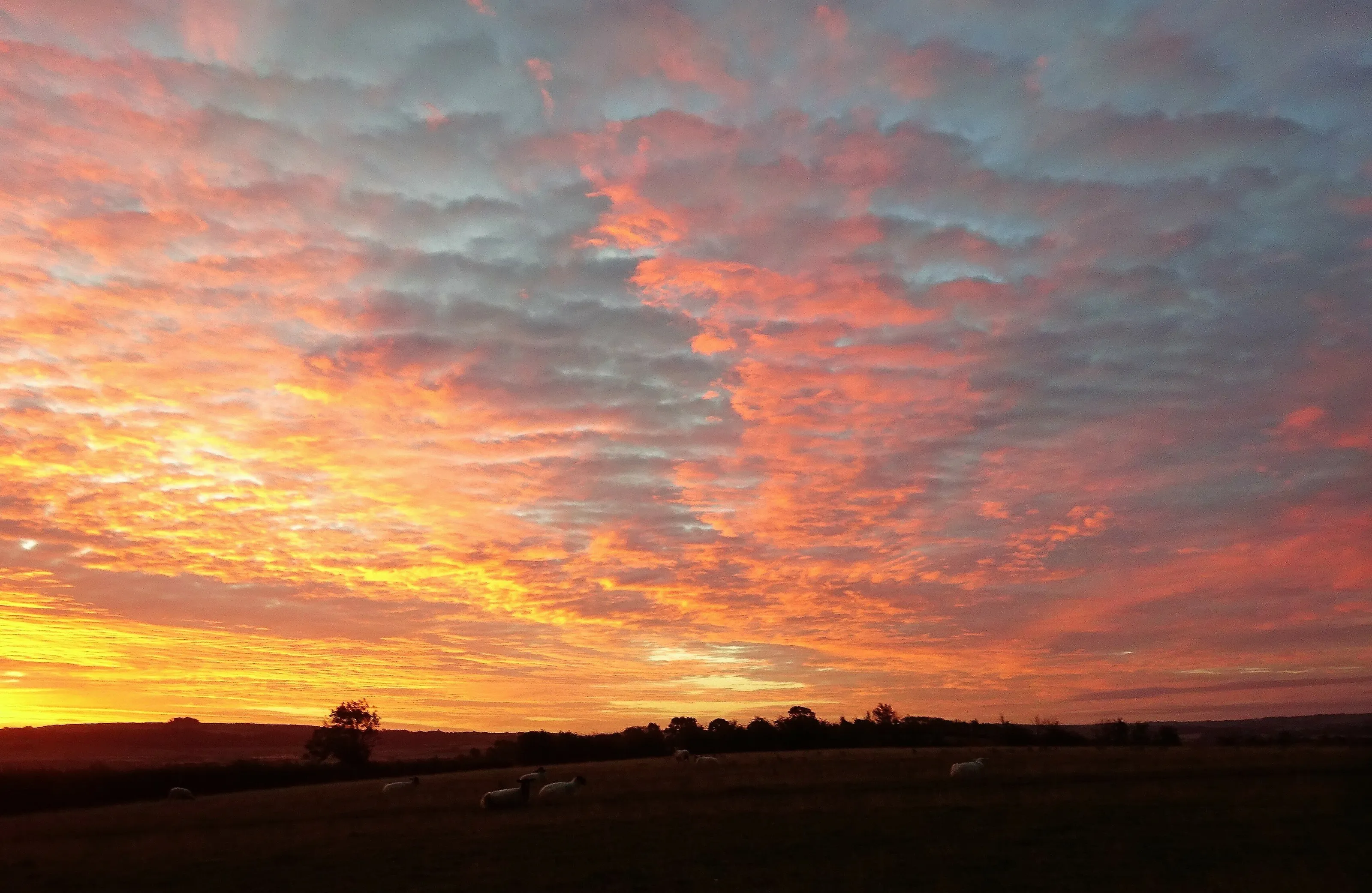 Sunrise and Sunset Without the Sun (in colour)