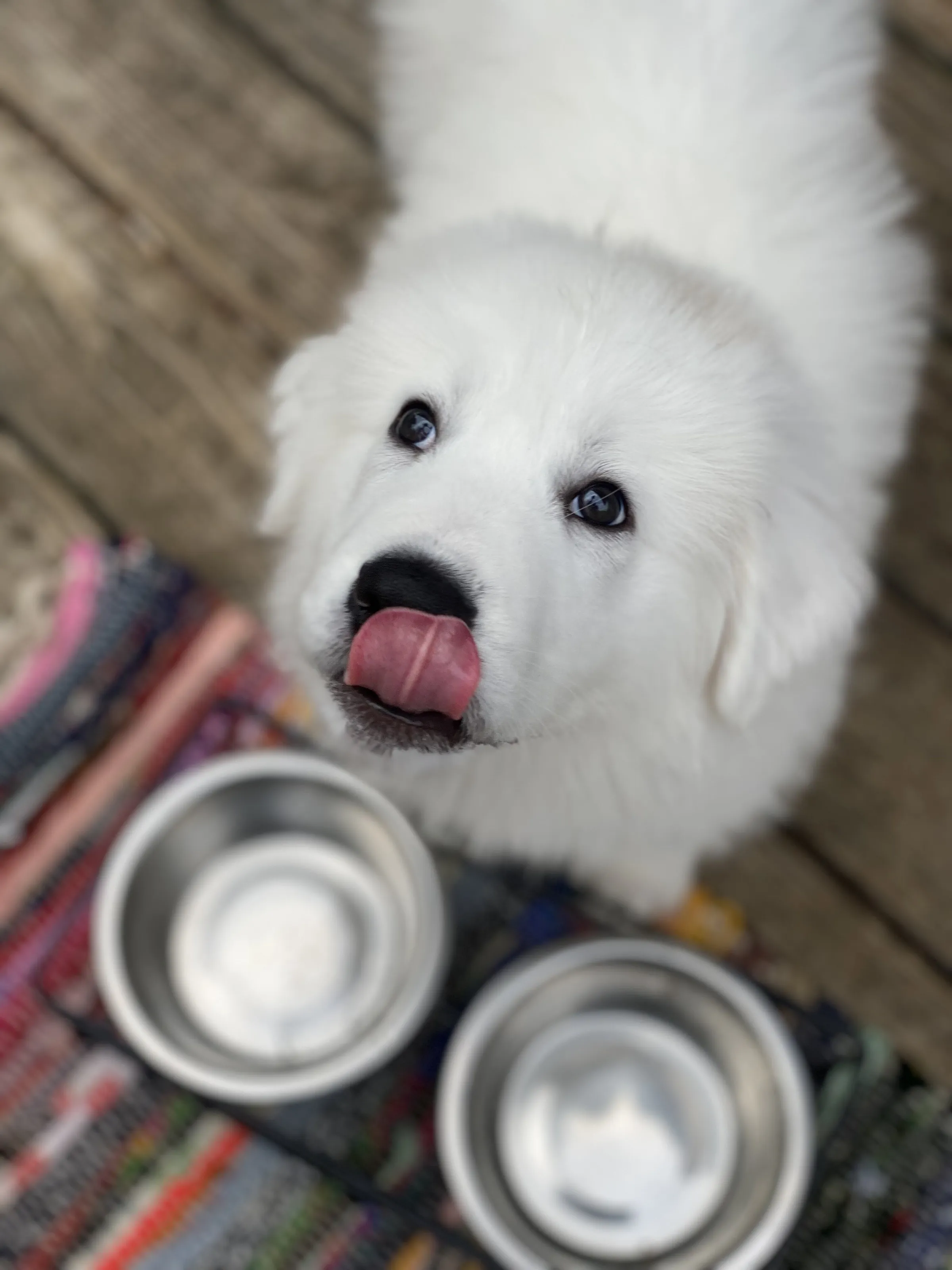 Thirst For Life