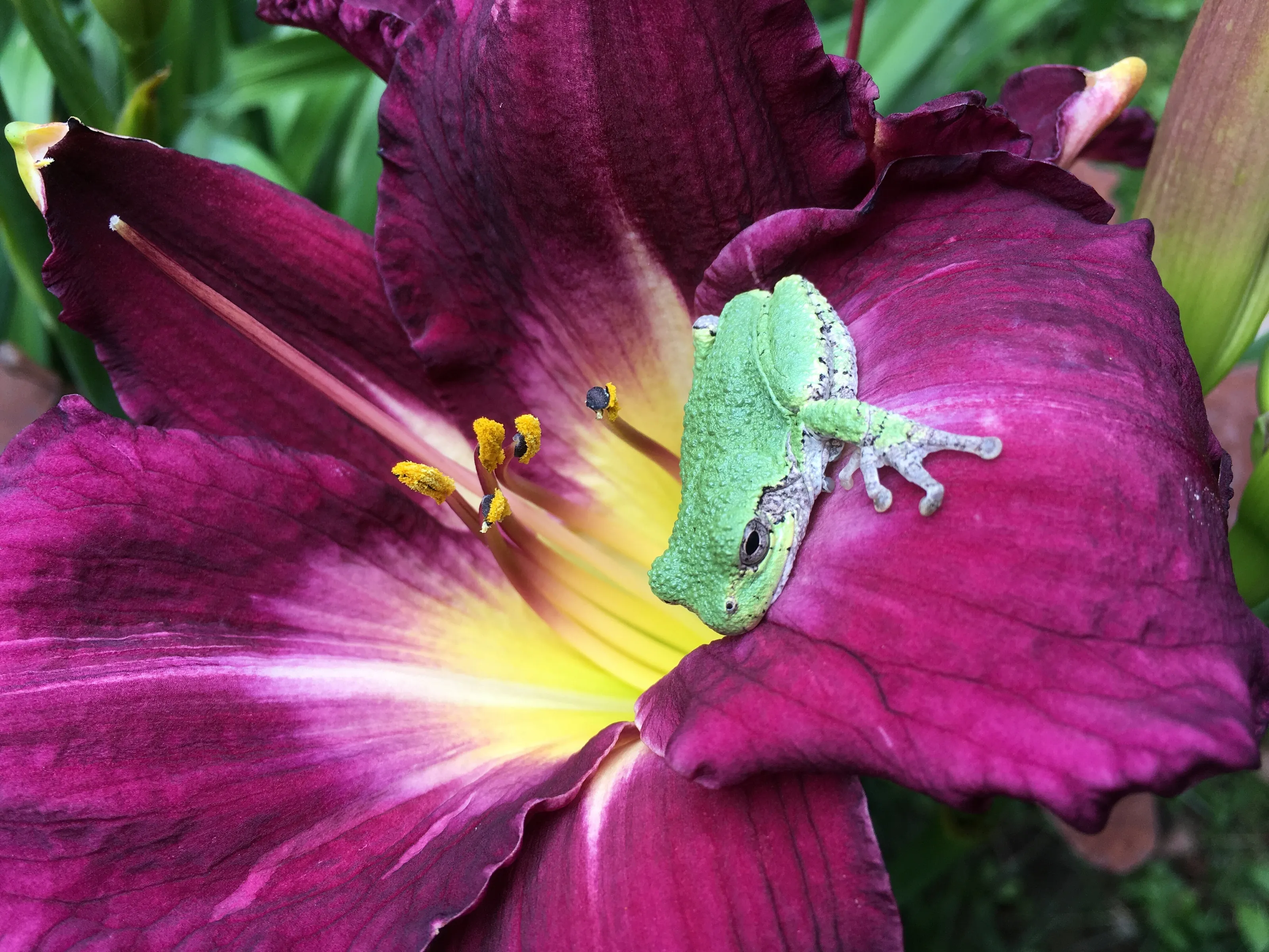 Natures Beauty