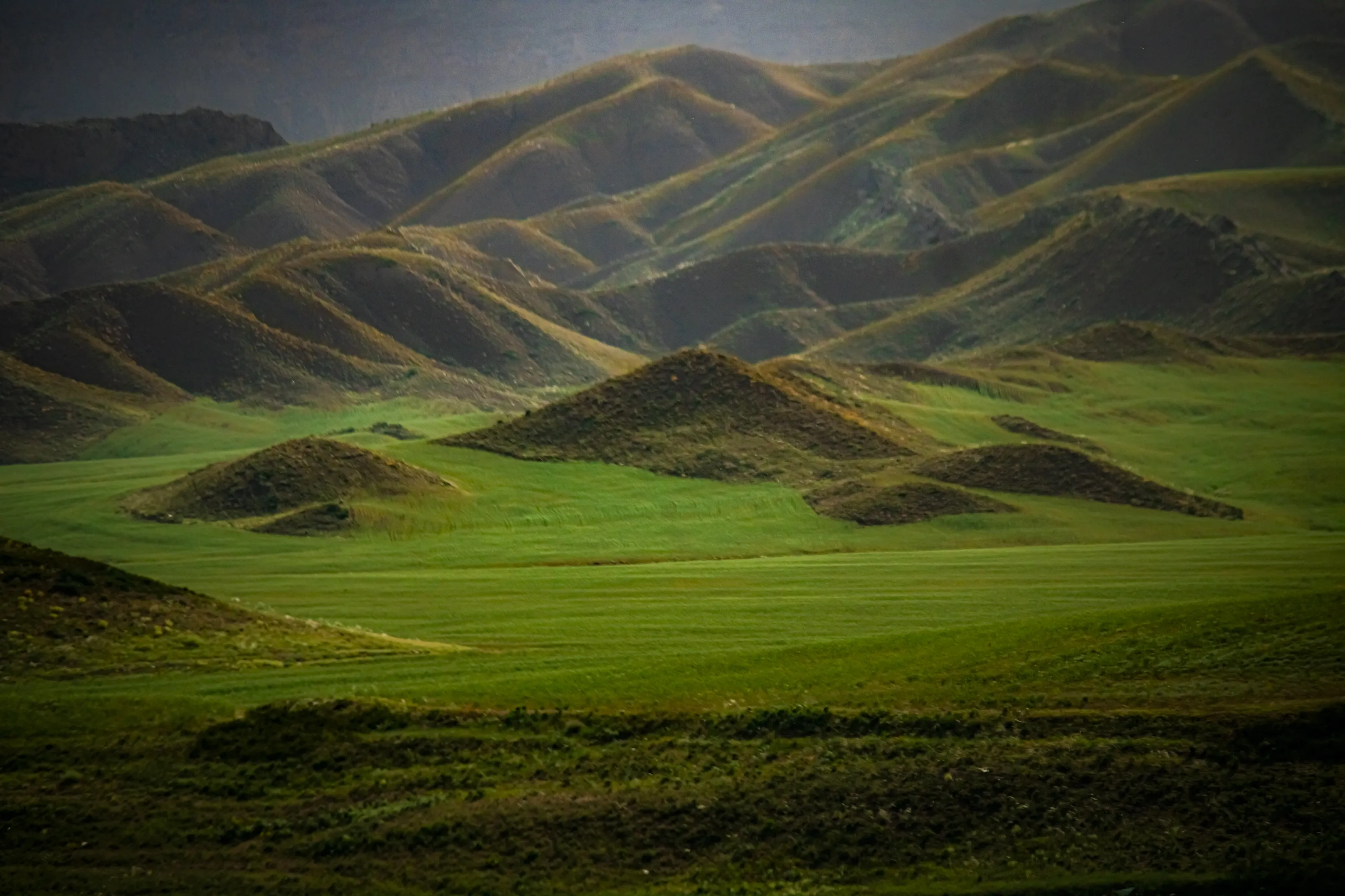 Gardaneh Aavej