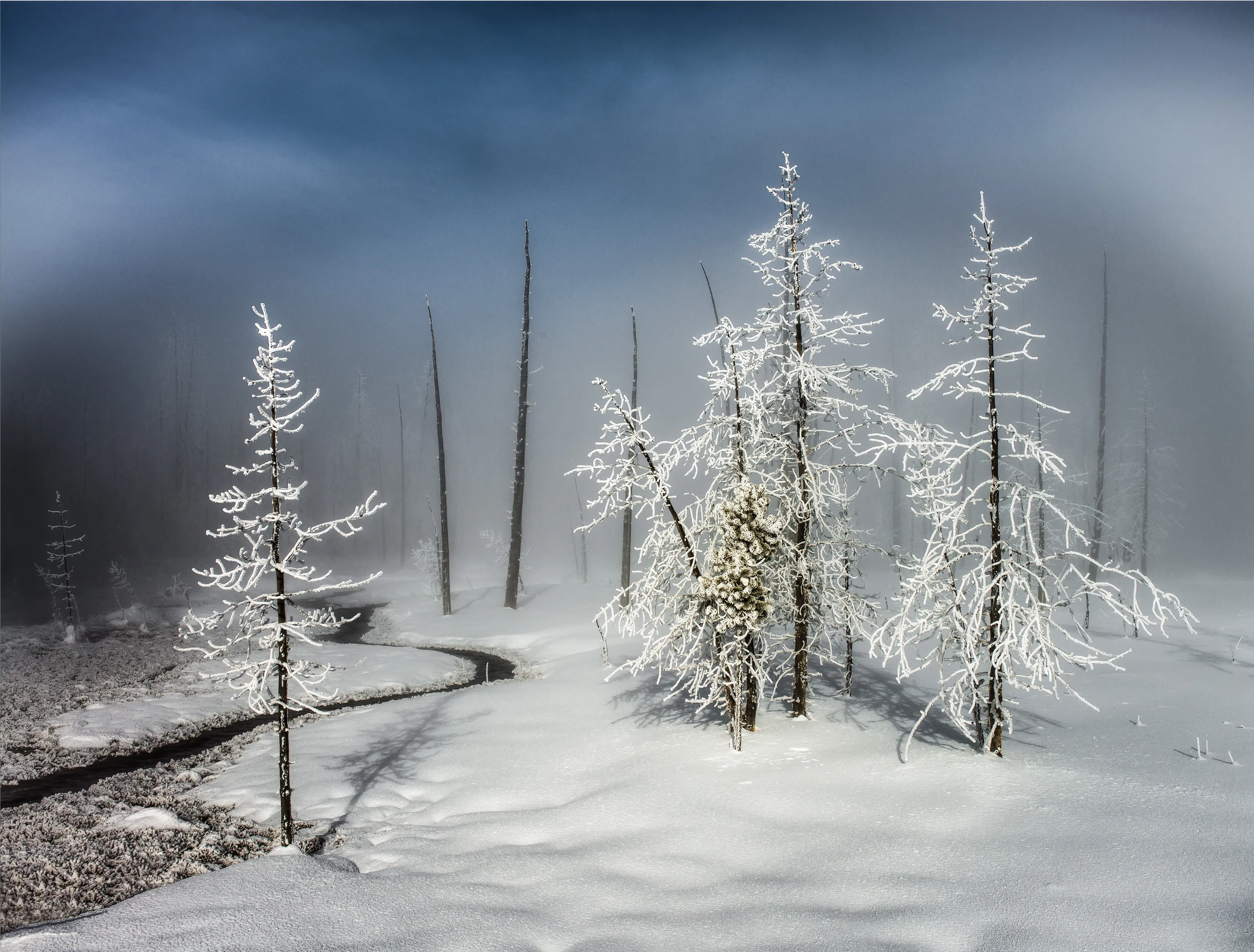 A Touch of Frost