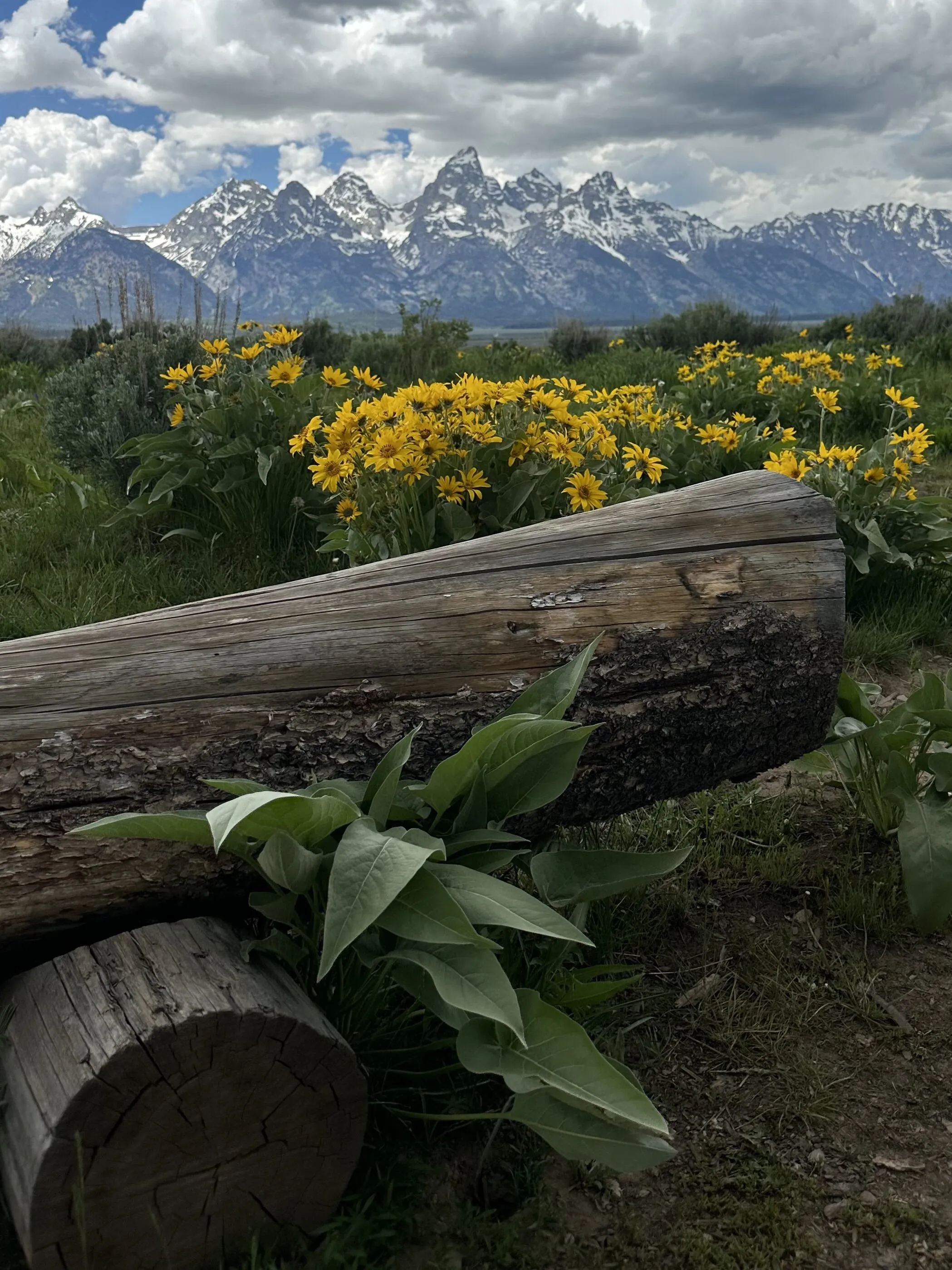 Grand Tetons