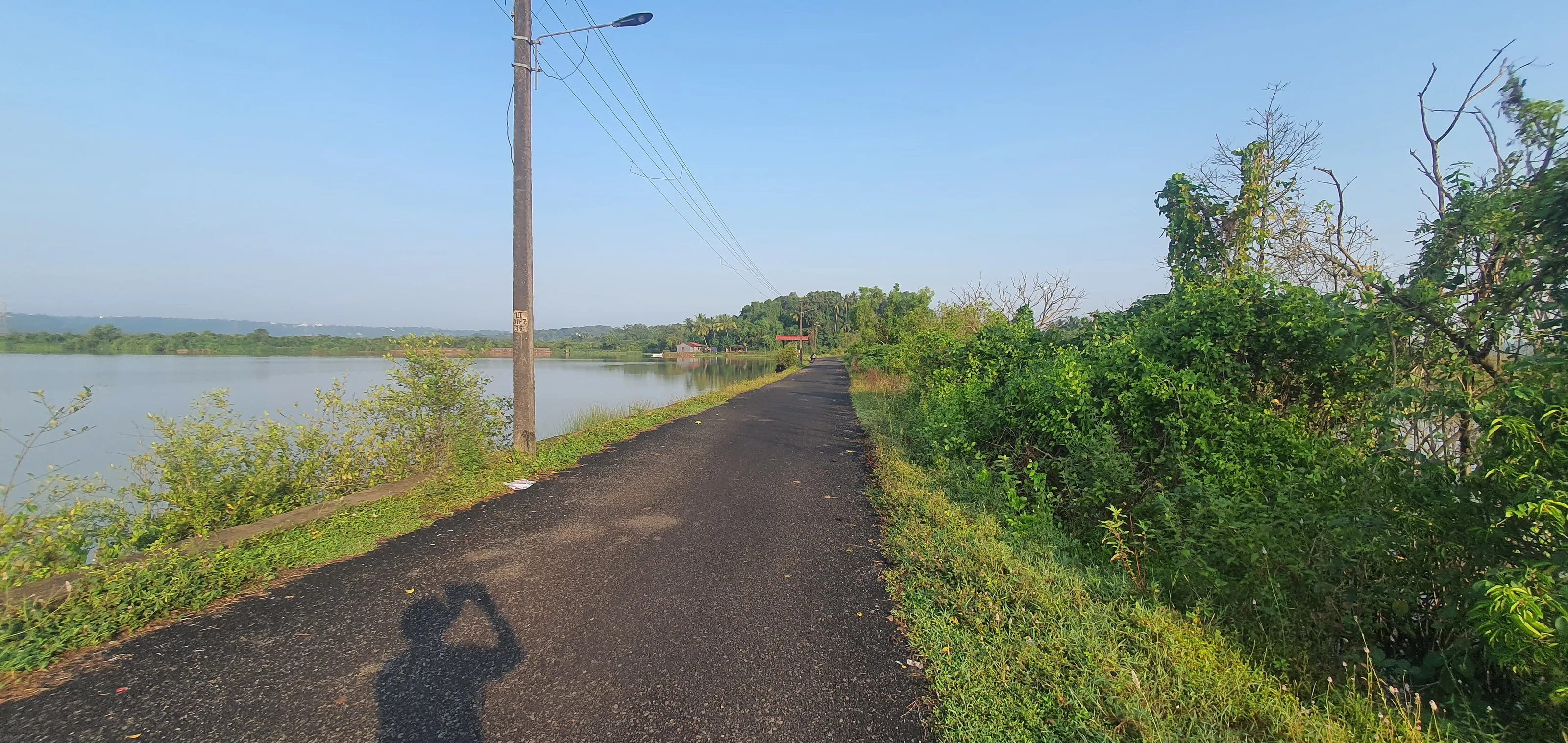 Deserted path of bird watcher
