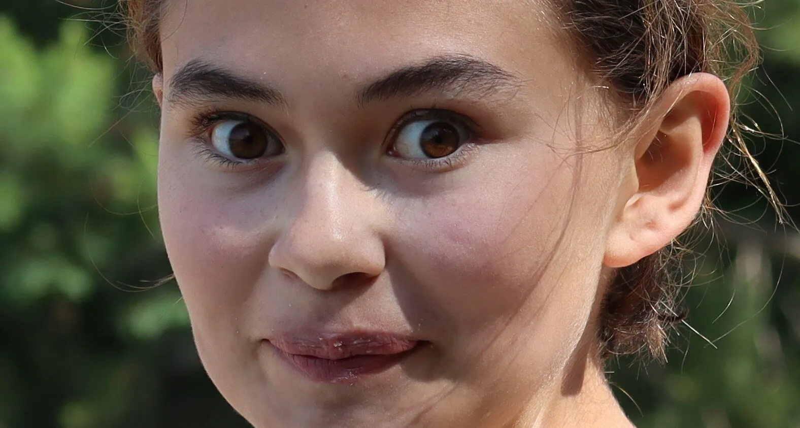 Banner image