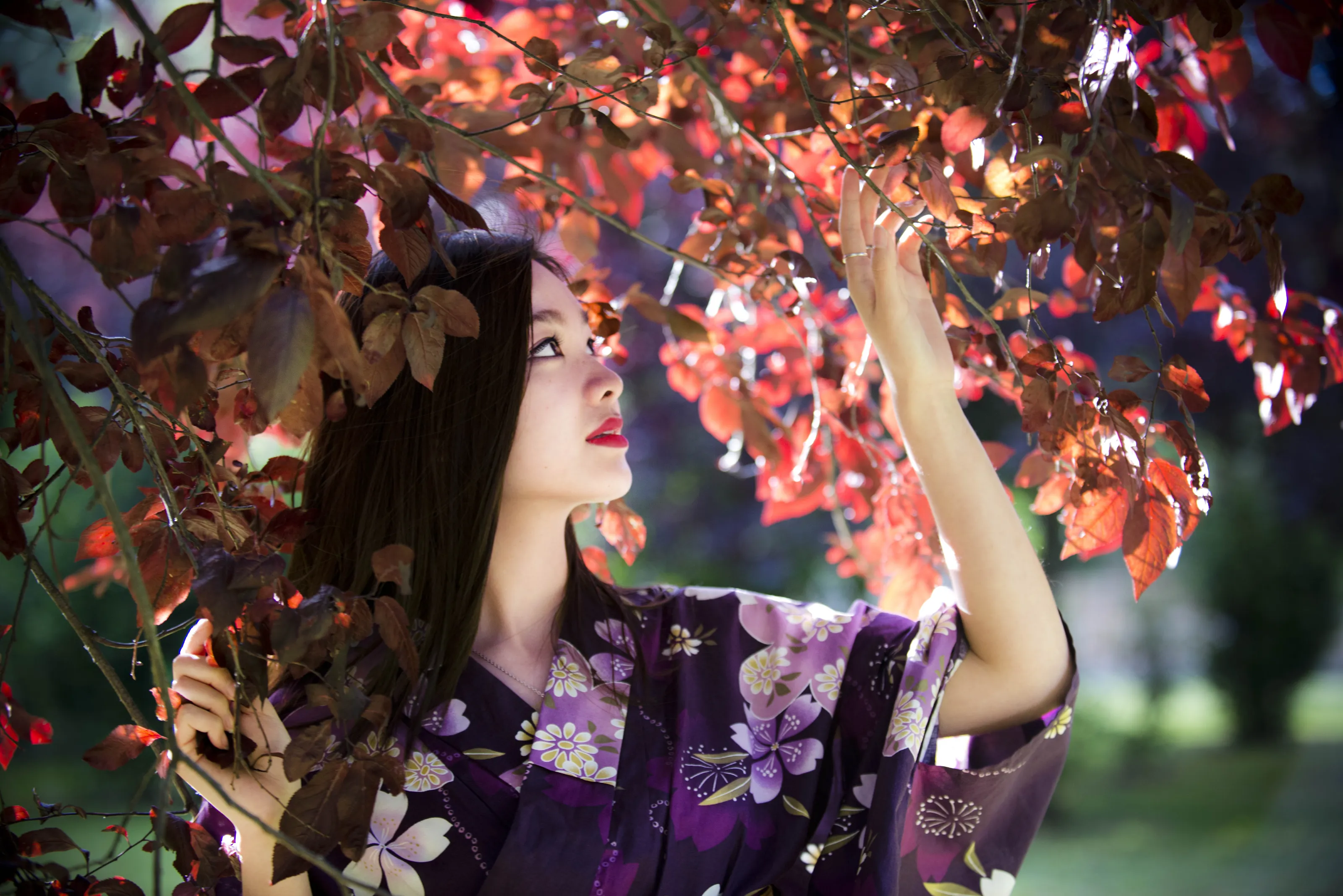 The Asian Beauty