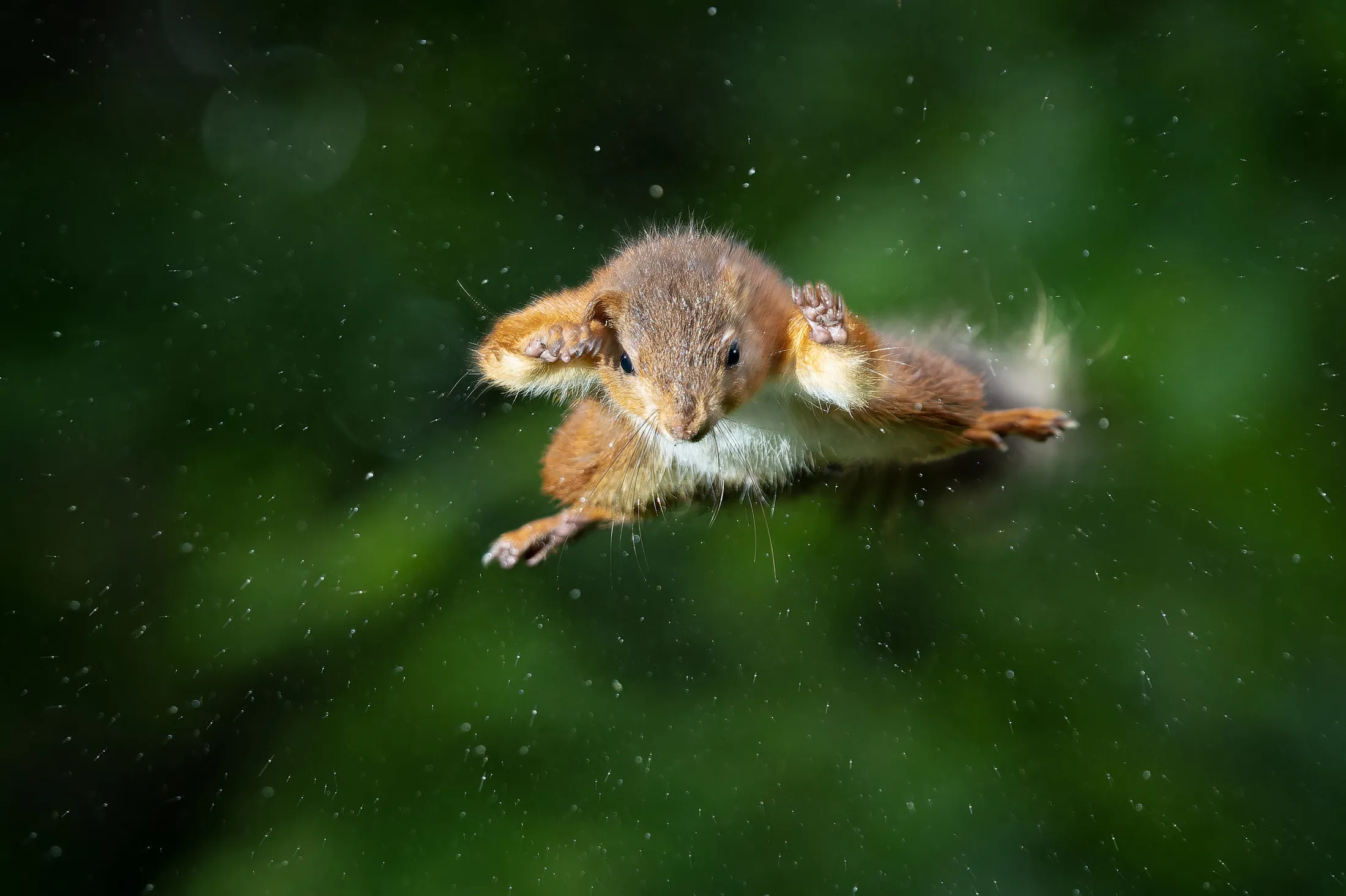 Leaping in the rain