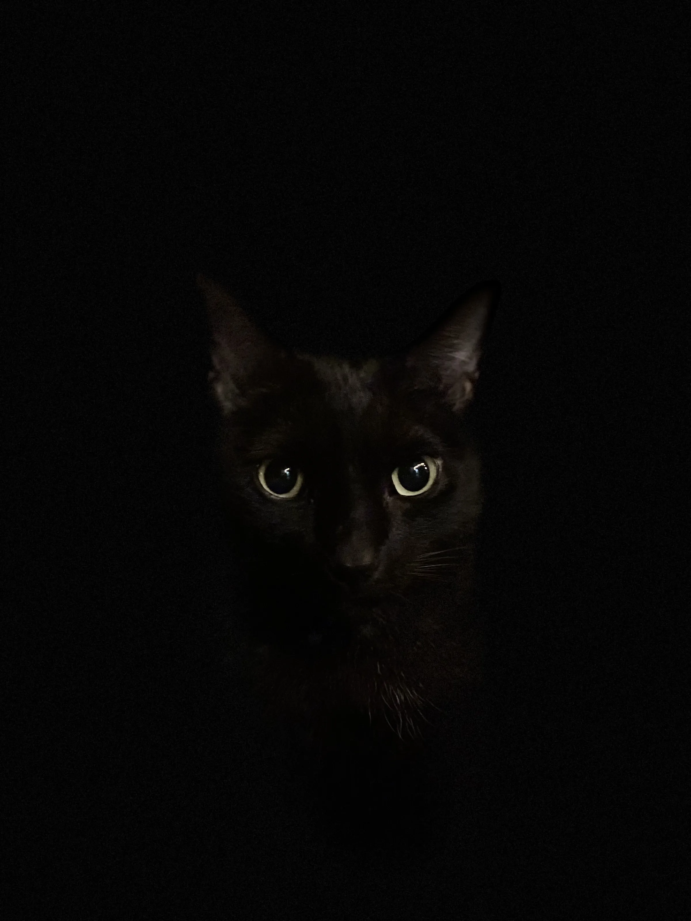 Black Magic