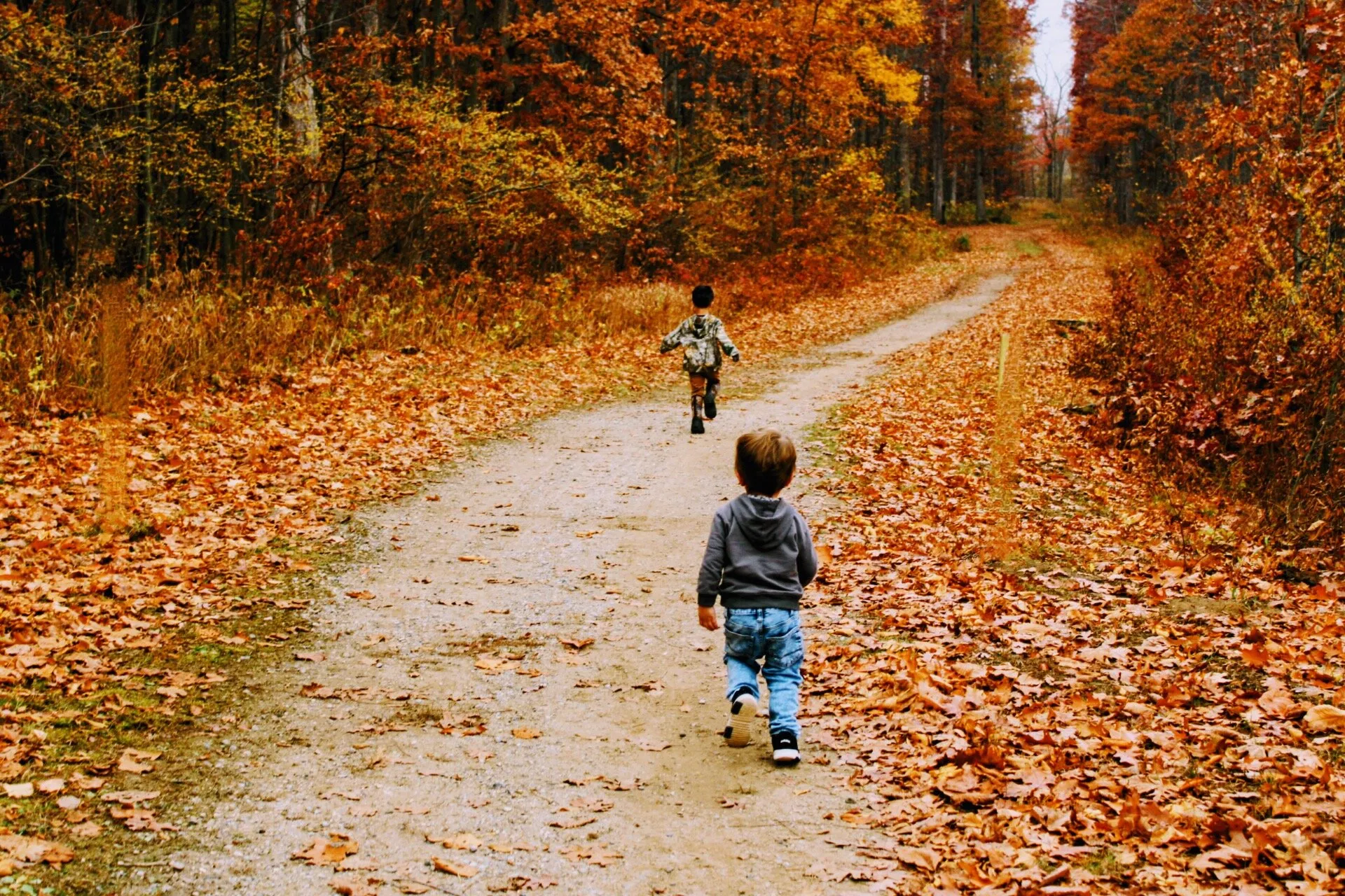 Autumn walk