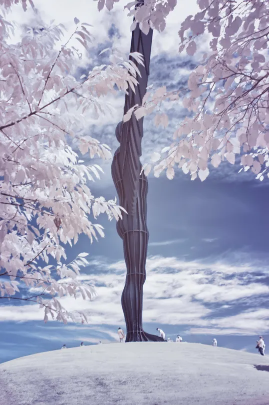 Infrared Angel