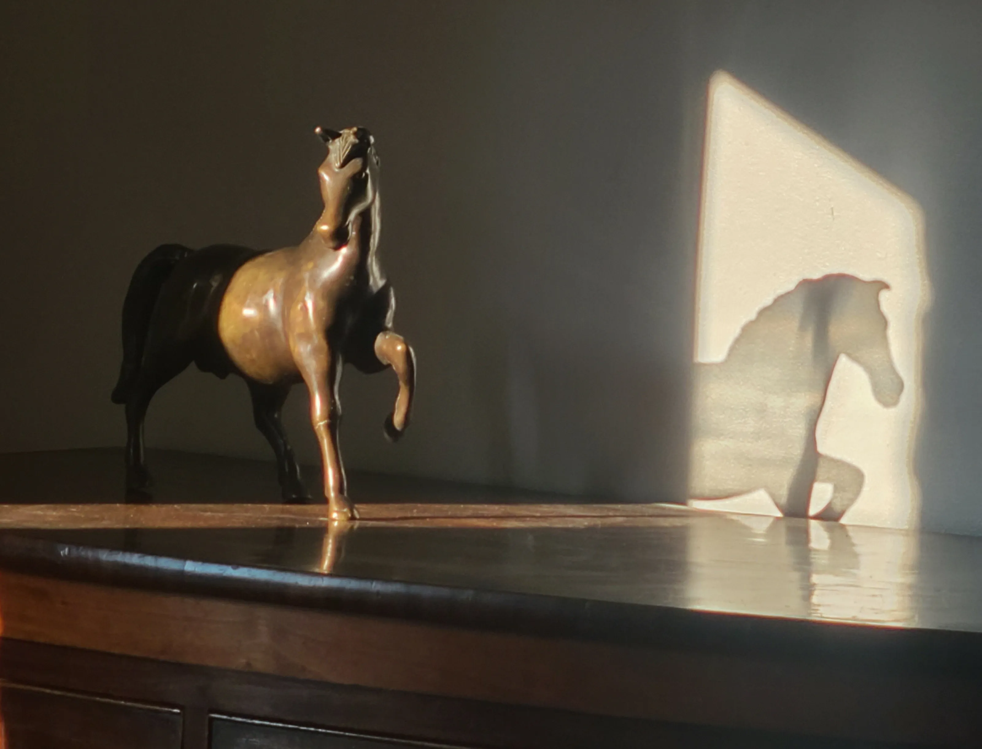 Horse and its shadow