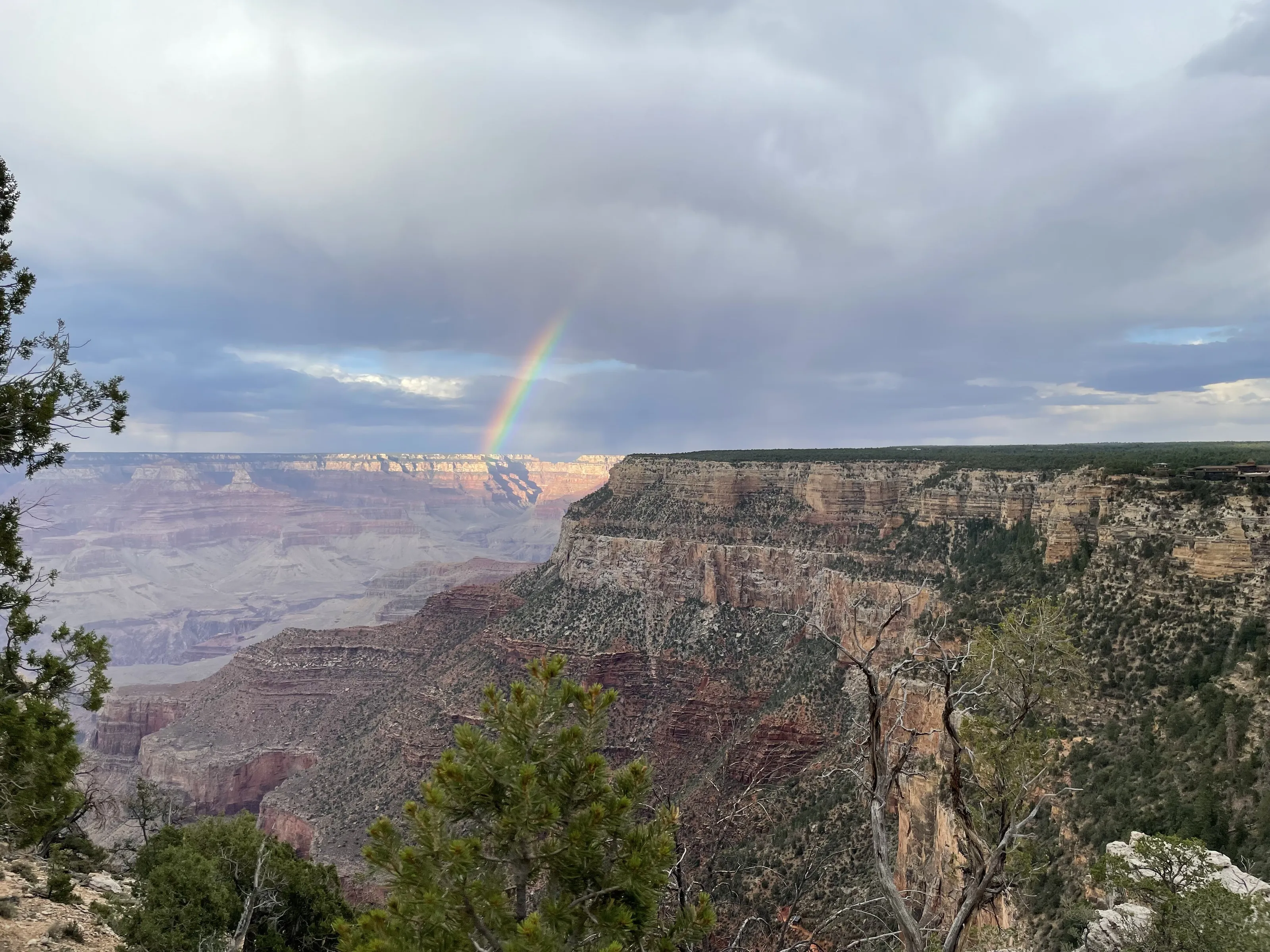 Rainbow