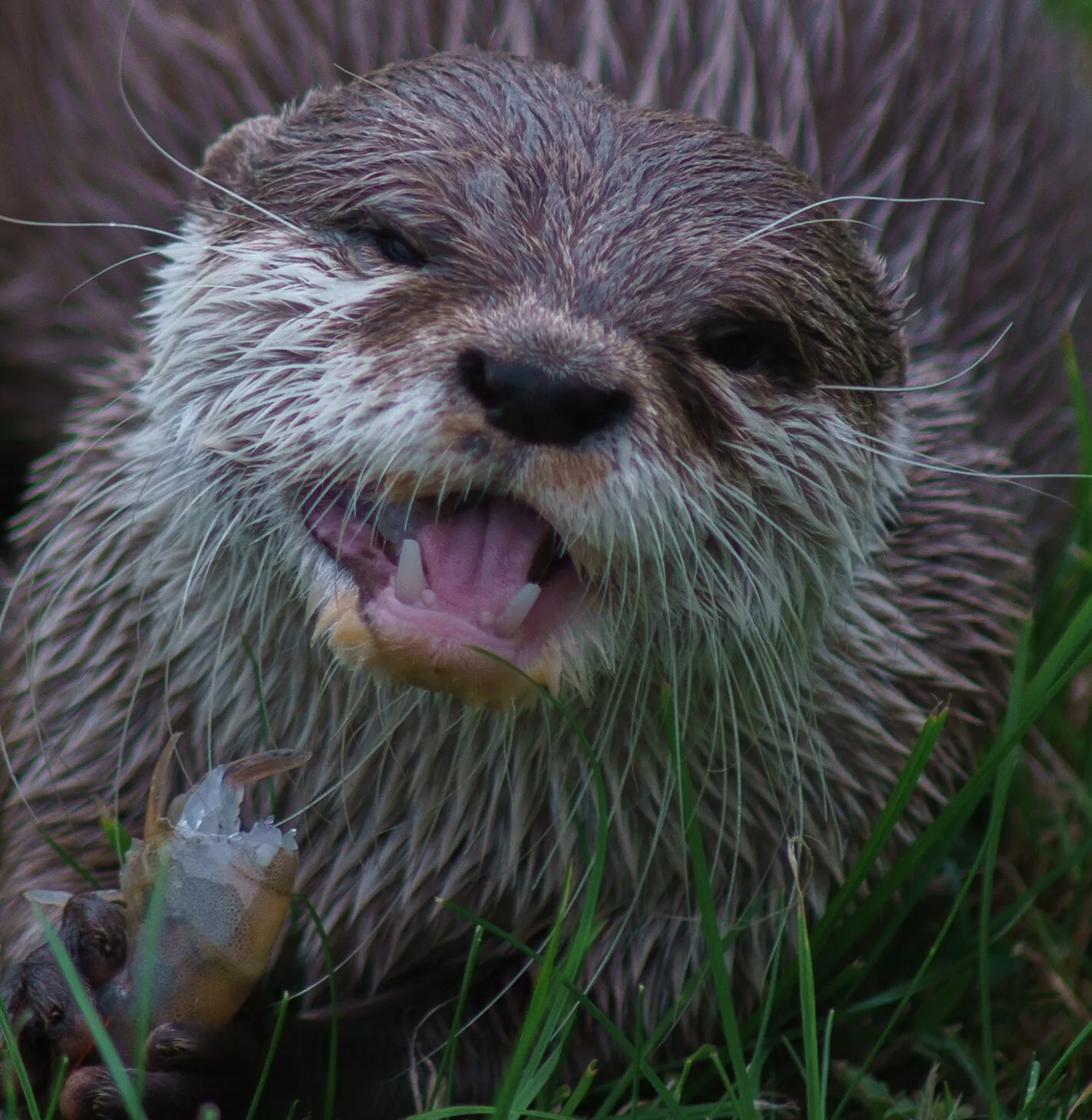 Banner image