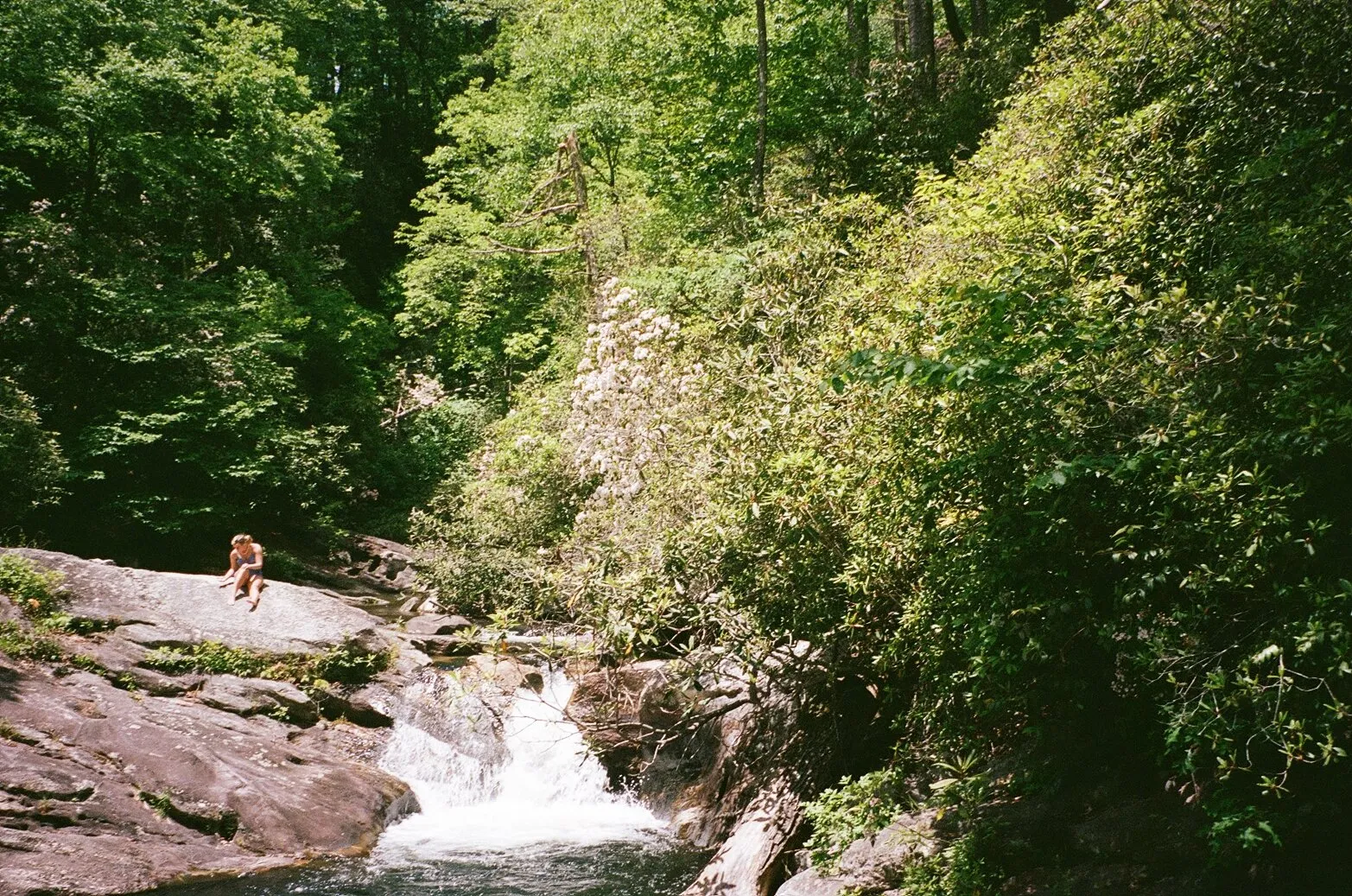 Paradise Falls