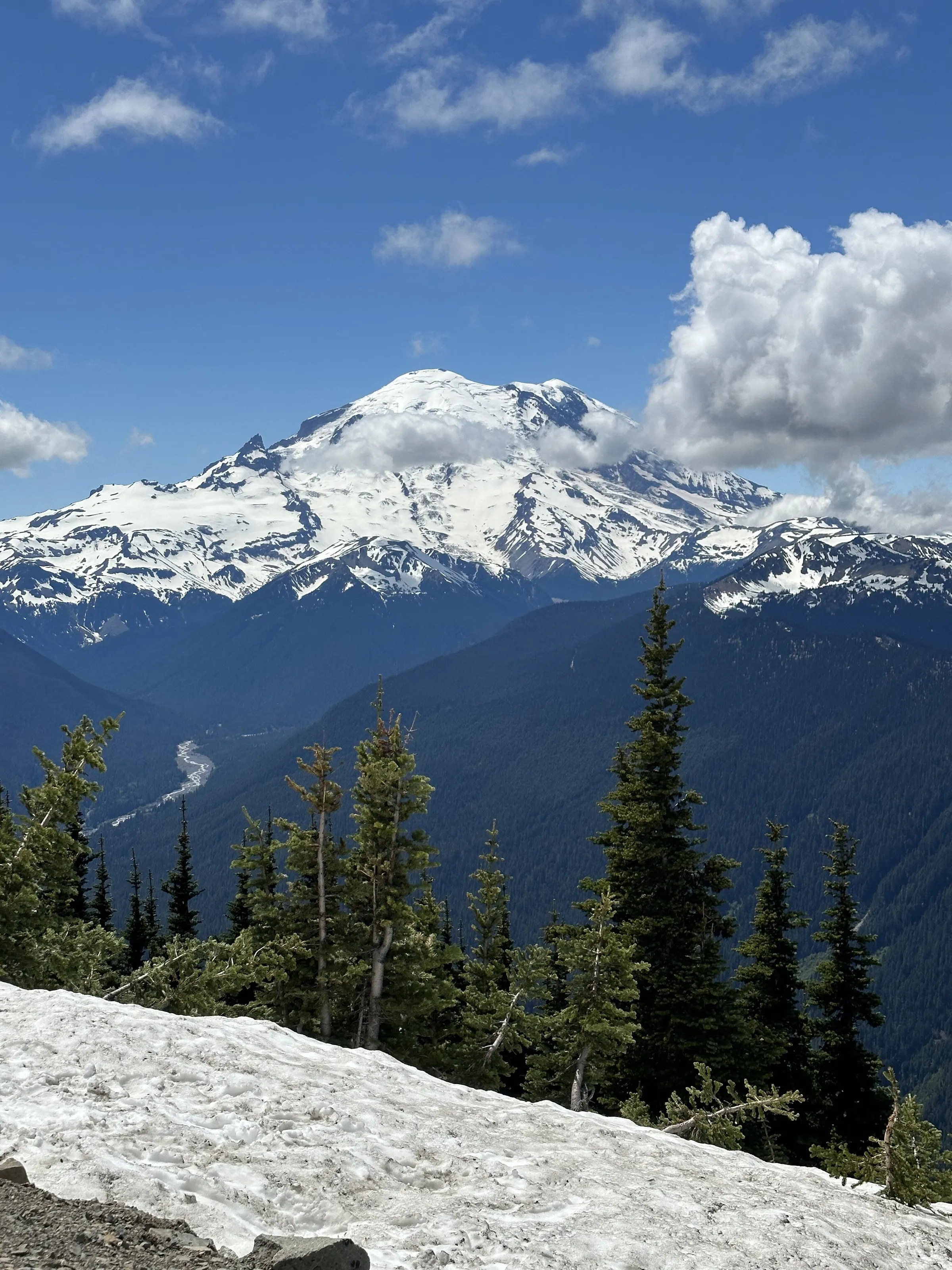 Mt. Rainier