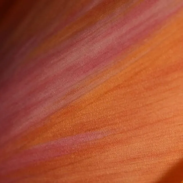 Can you guess what the subject matter is?