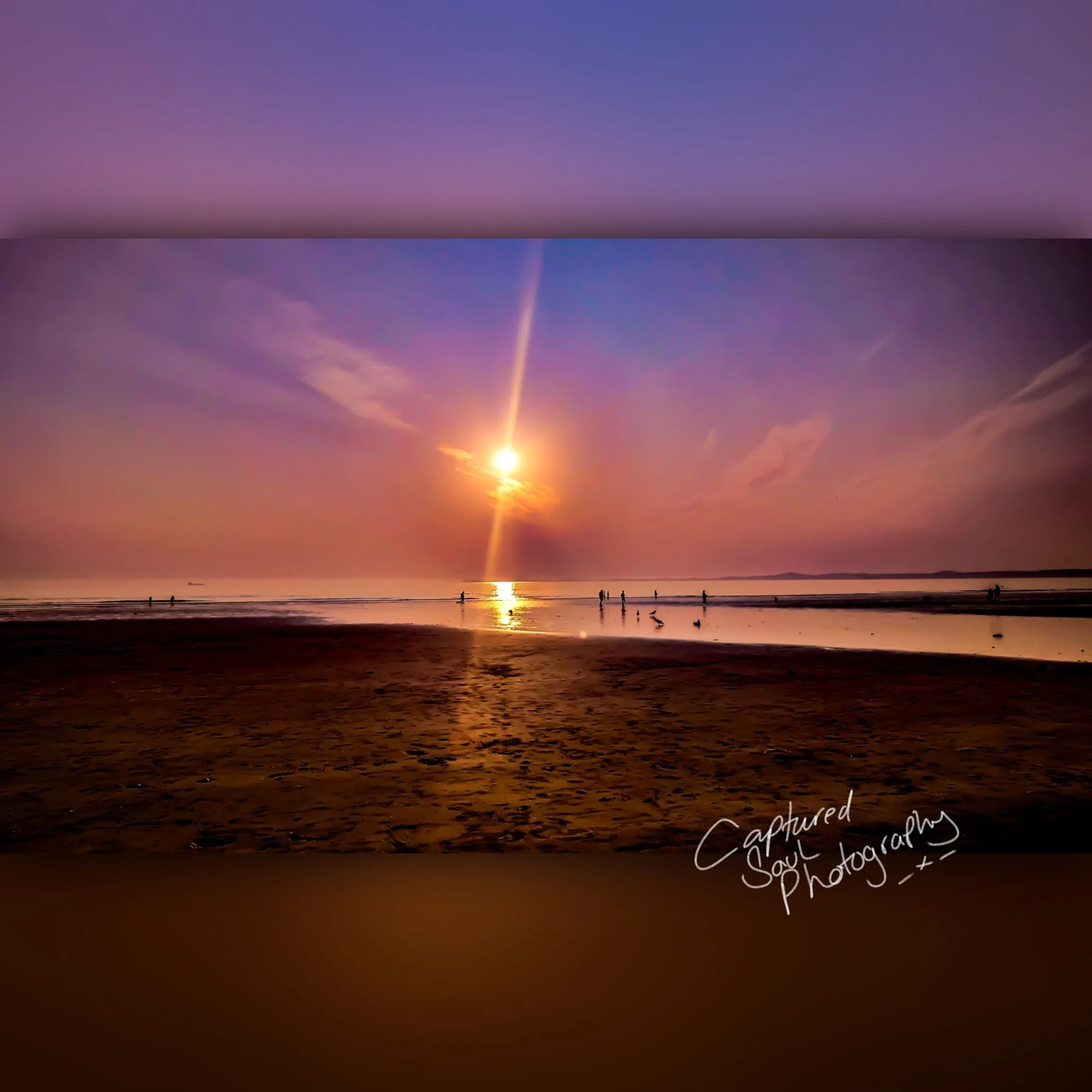 Purple sunset