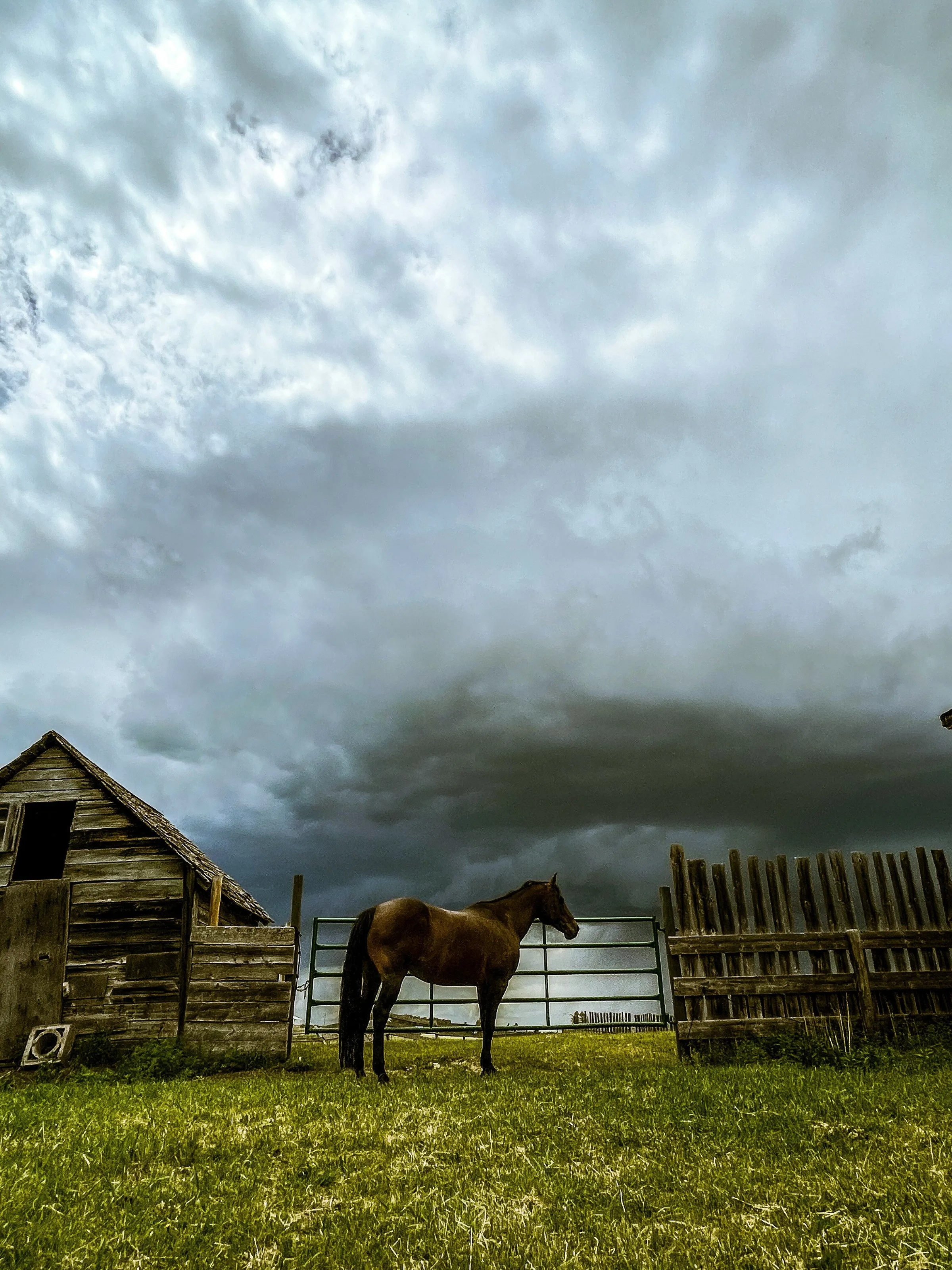 Staring Down the Storm