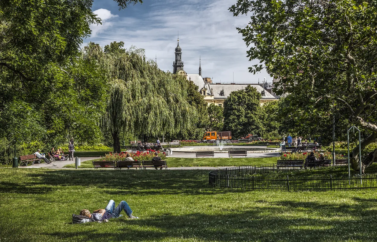 Entry 1134503