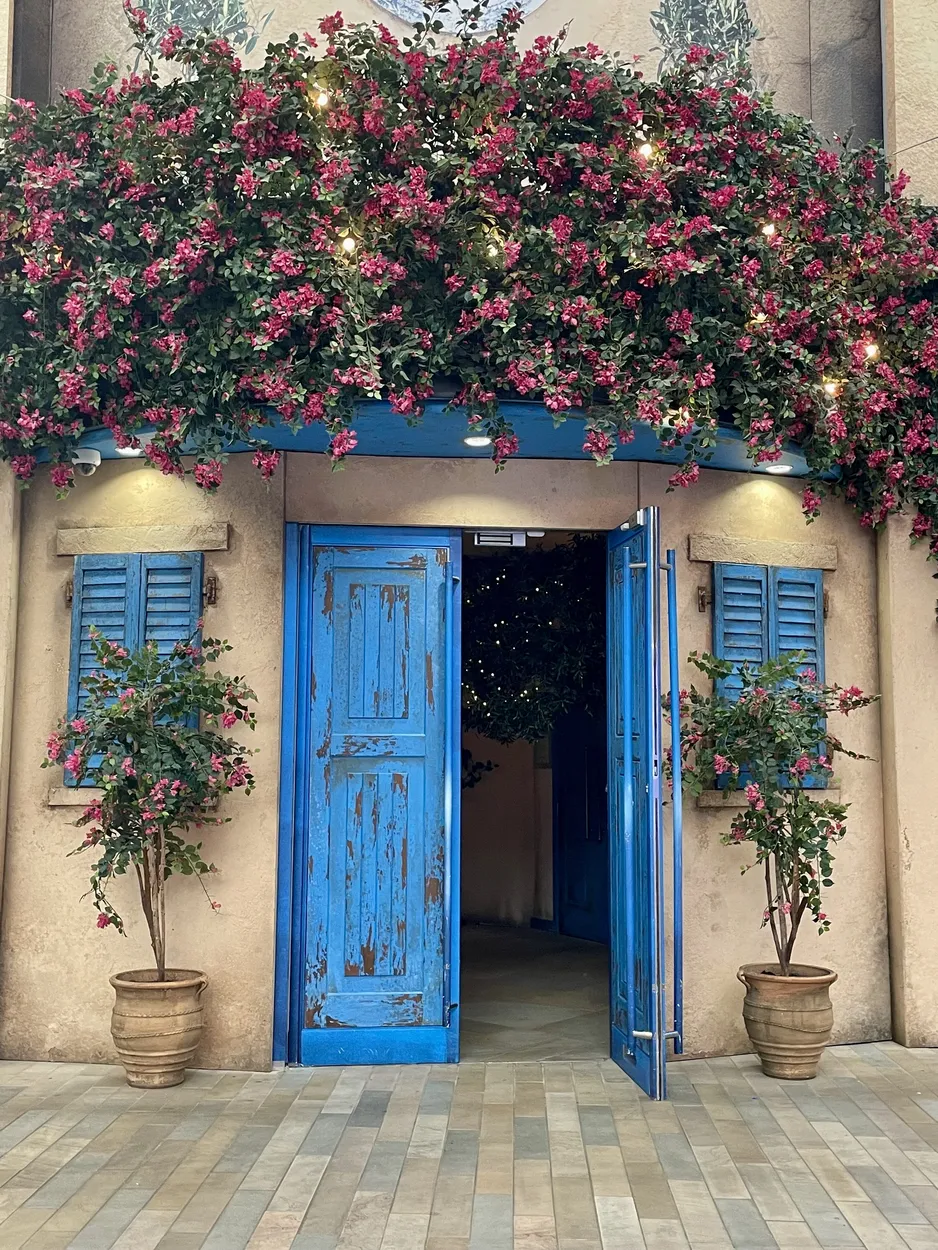 Entry 16930311