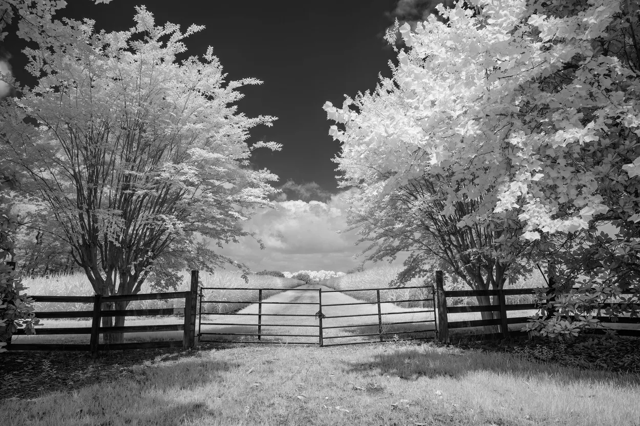 Entry 17146201