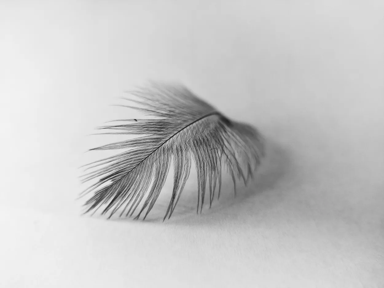 Entry 16945271