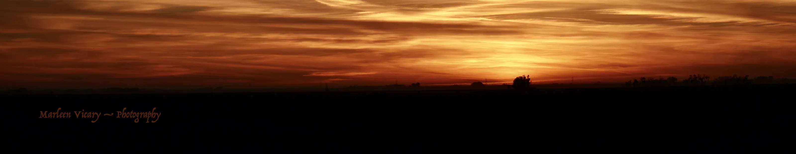 Evening Sunset