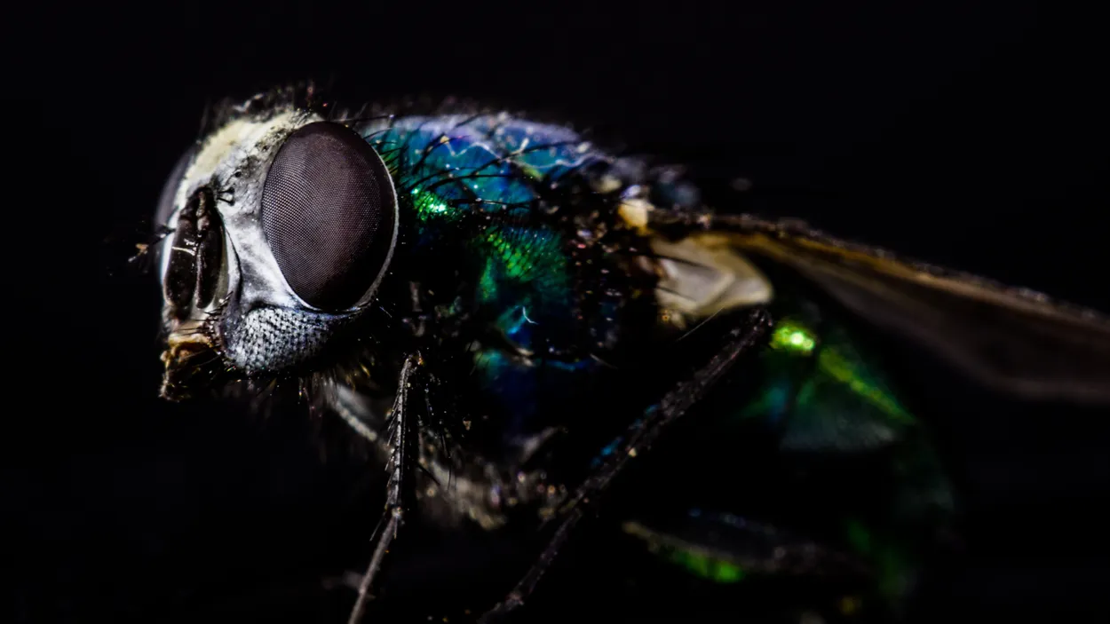 Entry 1320183