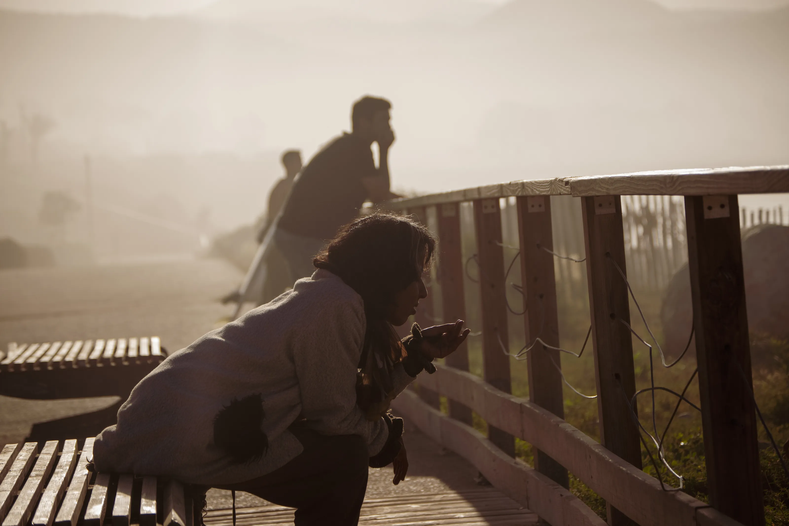 Banner image