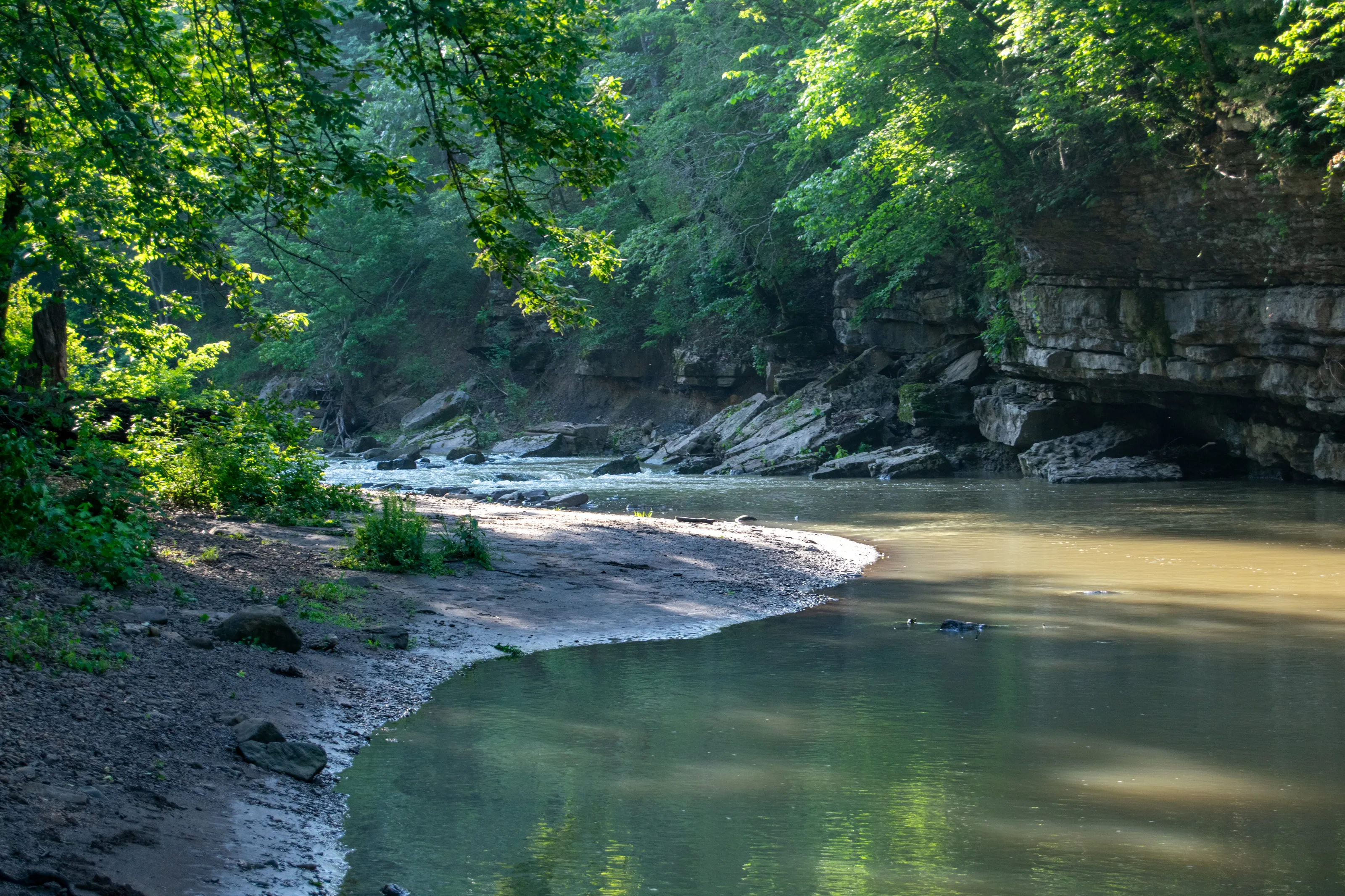 Lee Creek