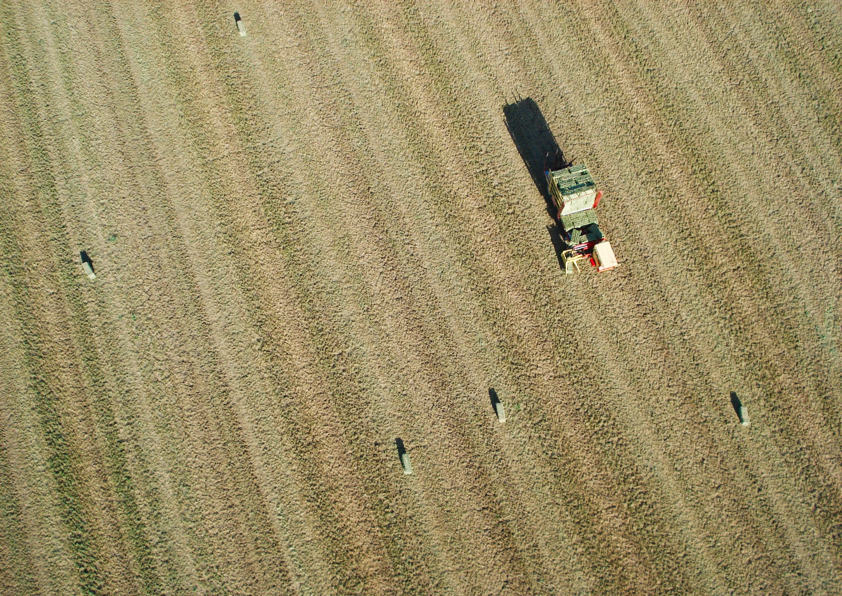 Collecting the straw