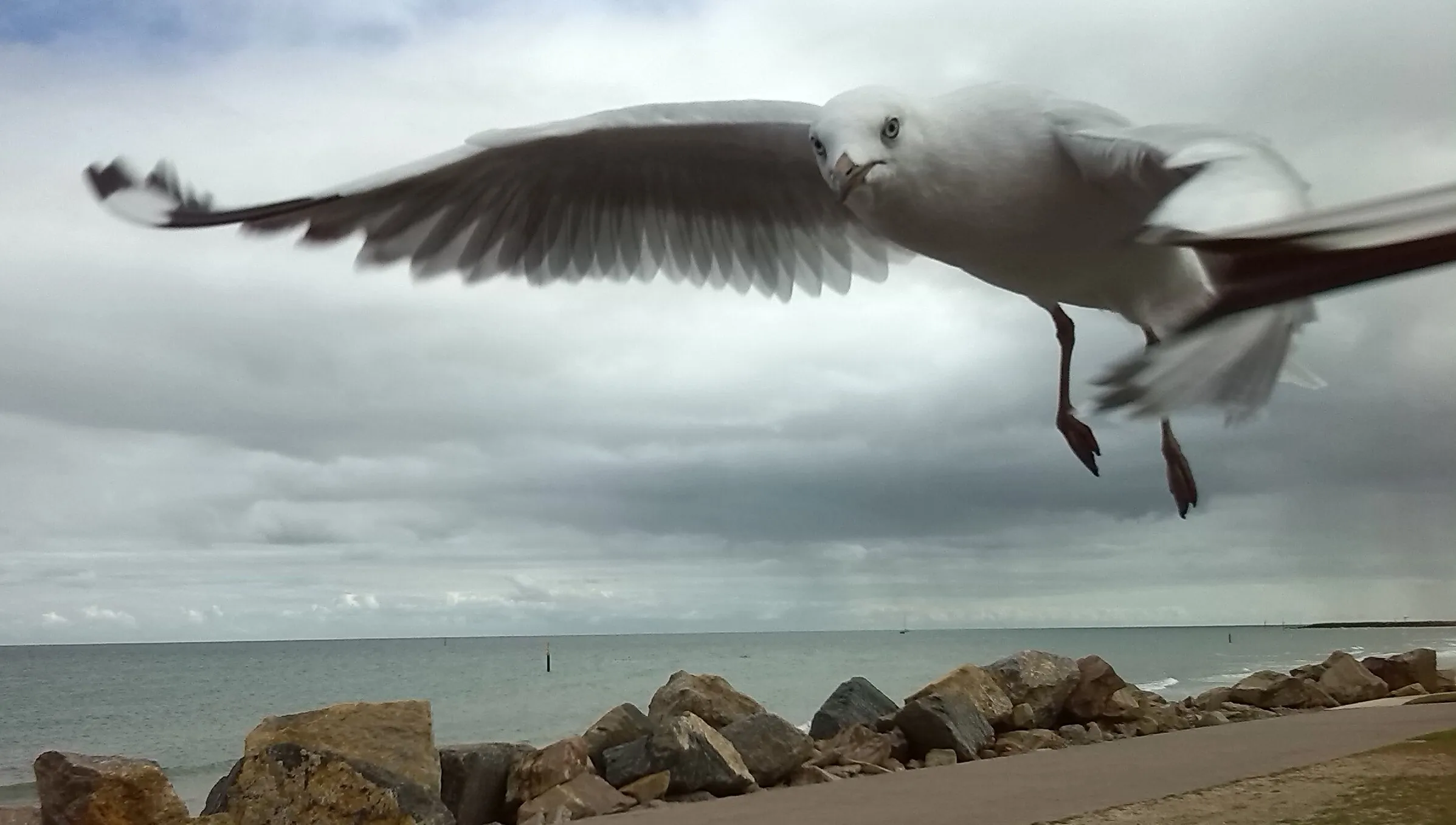 free flying