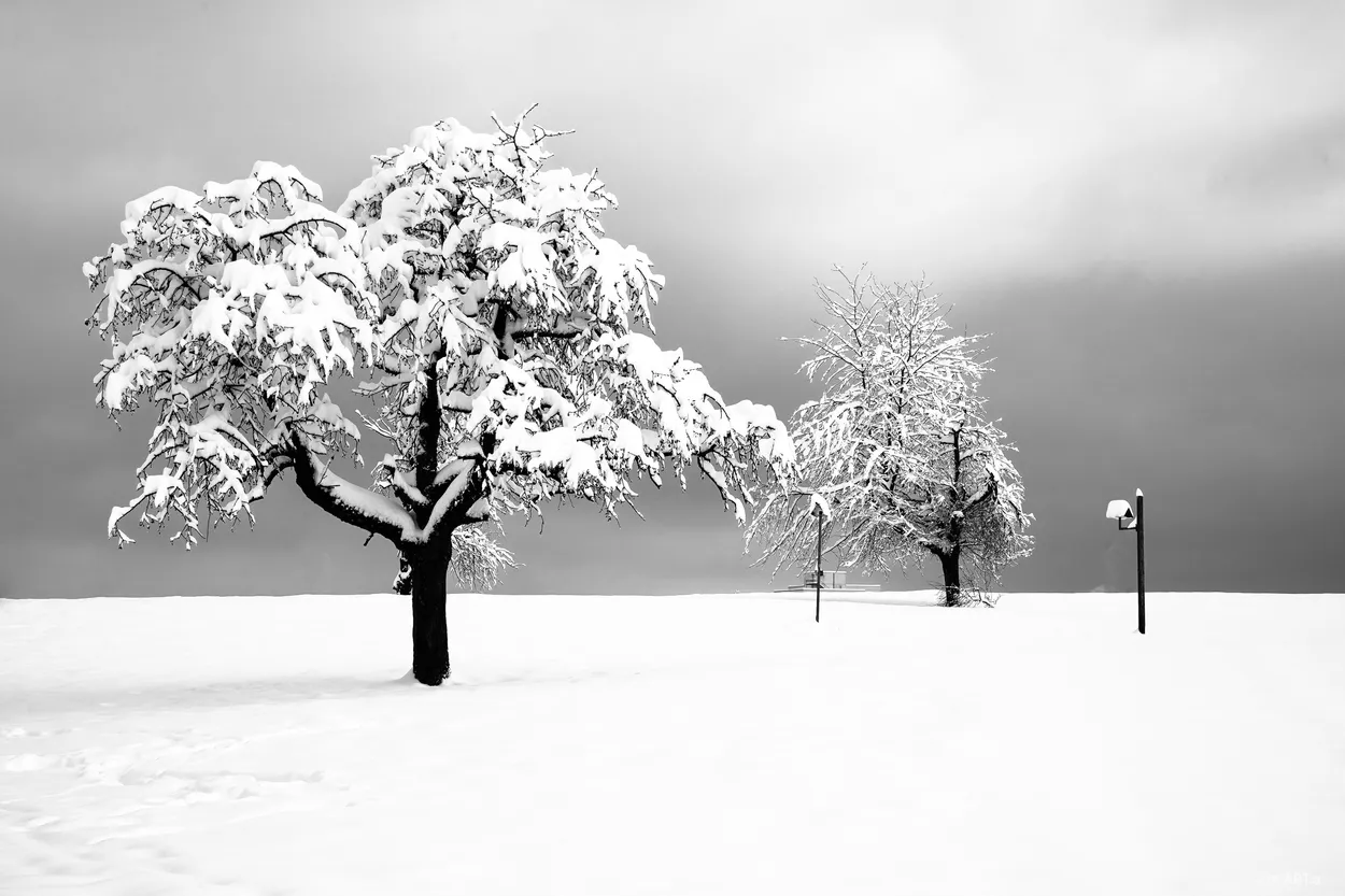 winter