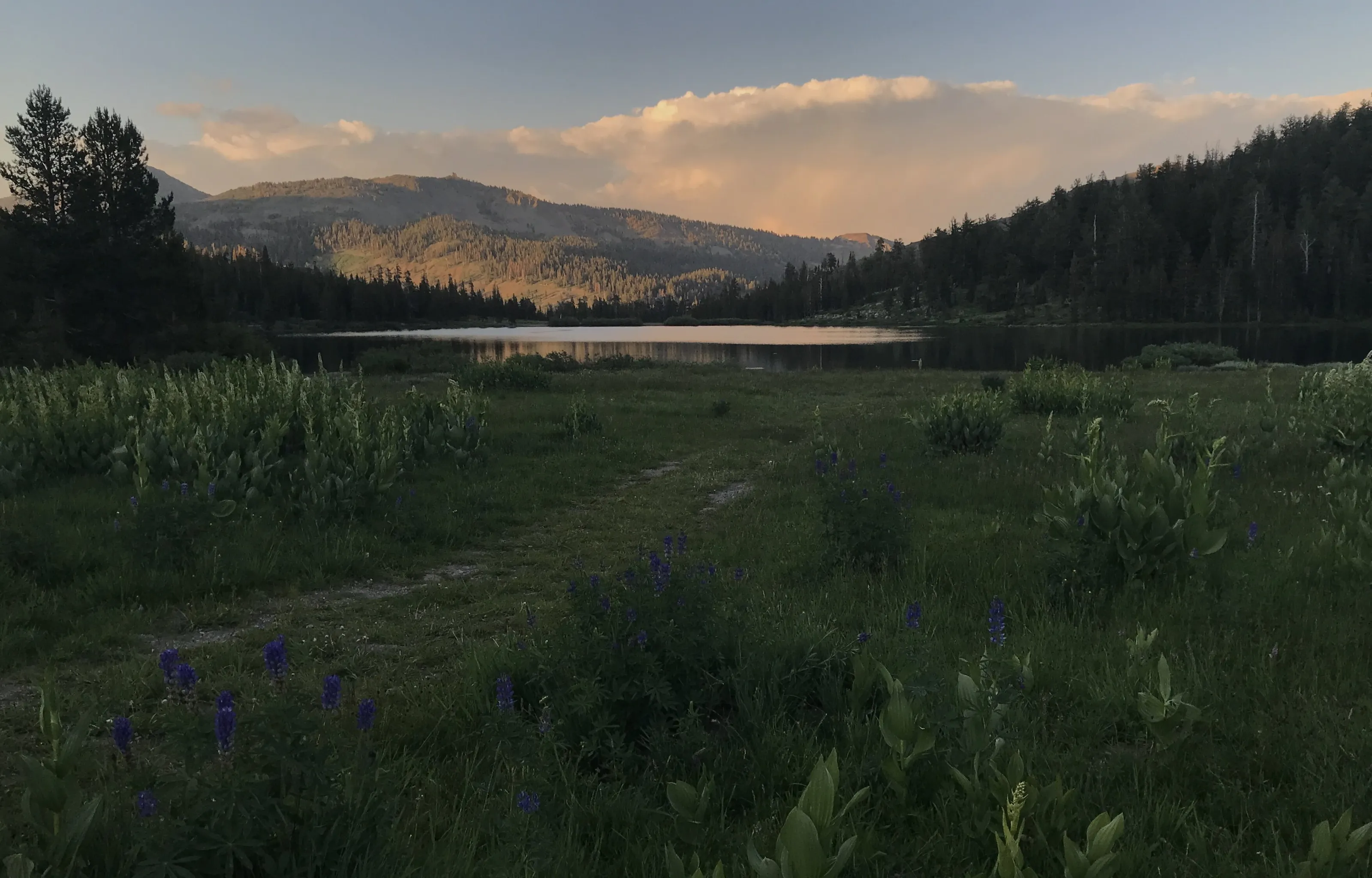 Twin Lakes