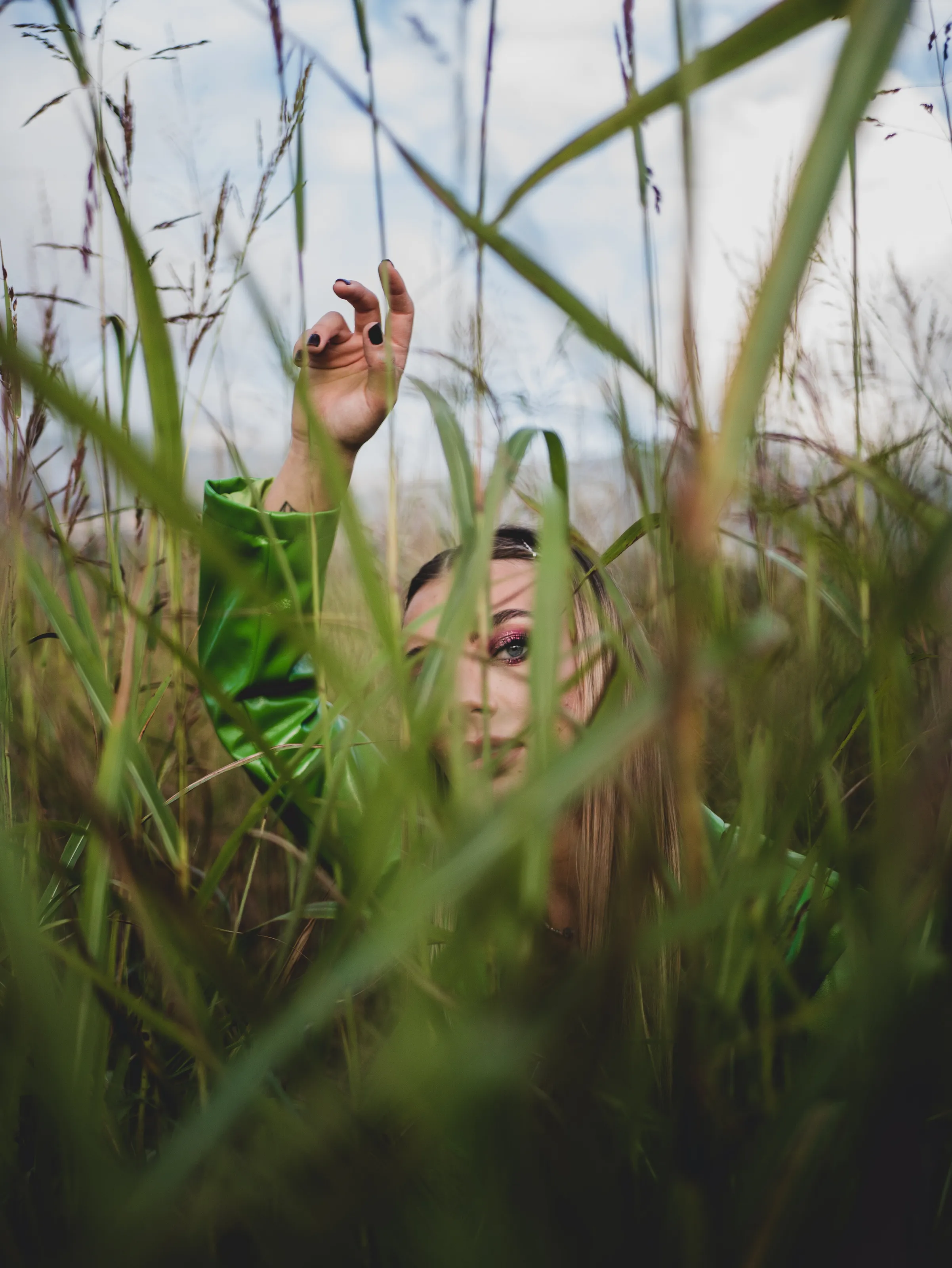 Into the Wild