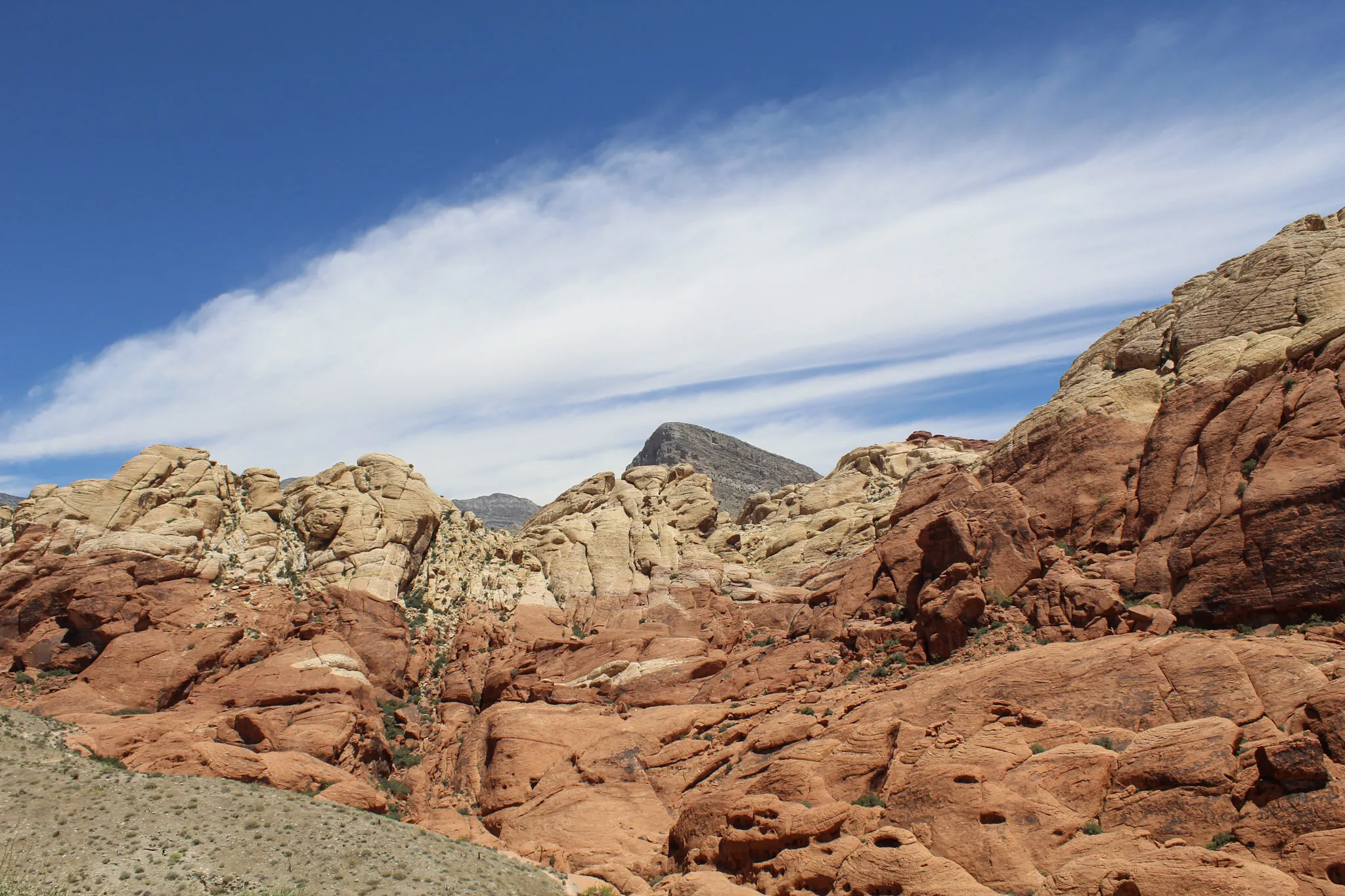 Red Rocks In Vegas