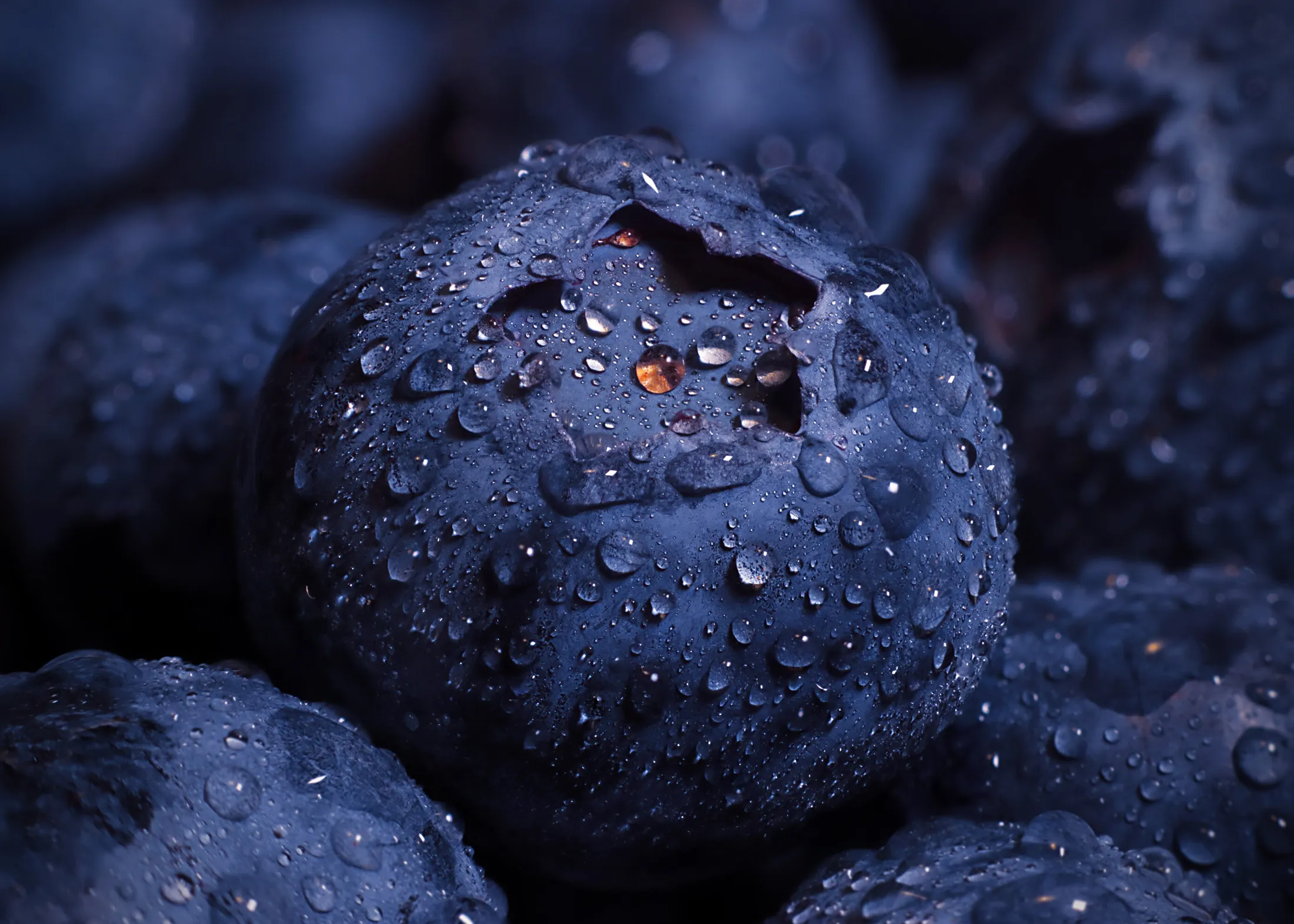 Wet blueberries