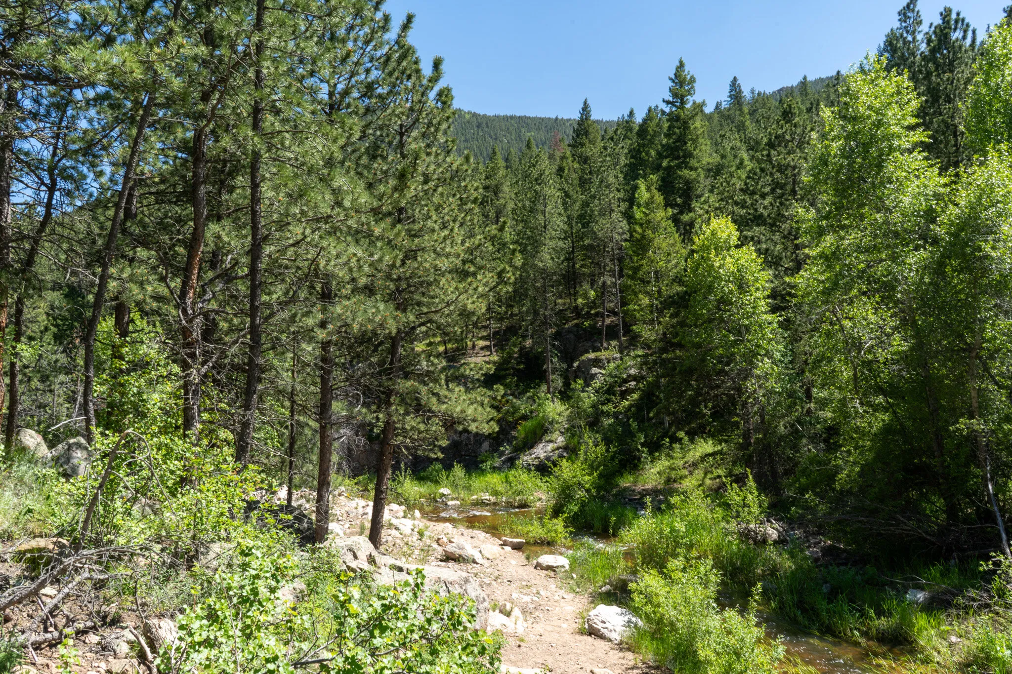 COLORADO