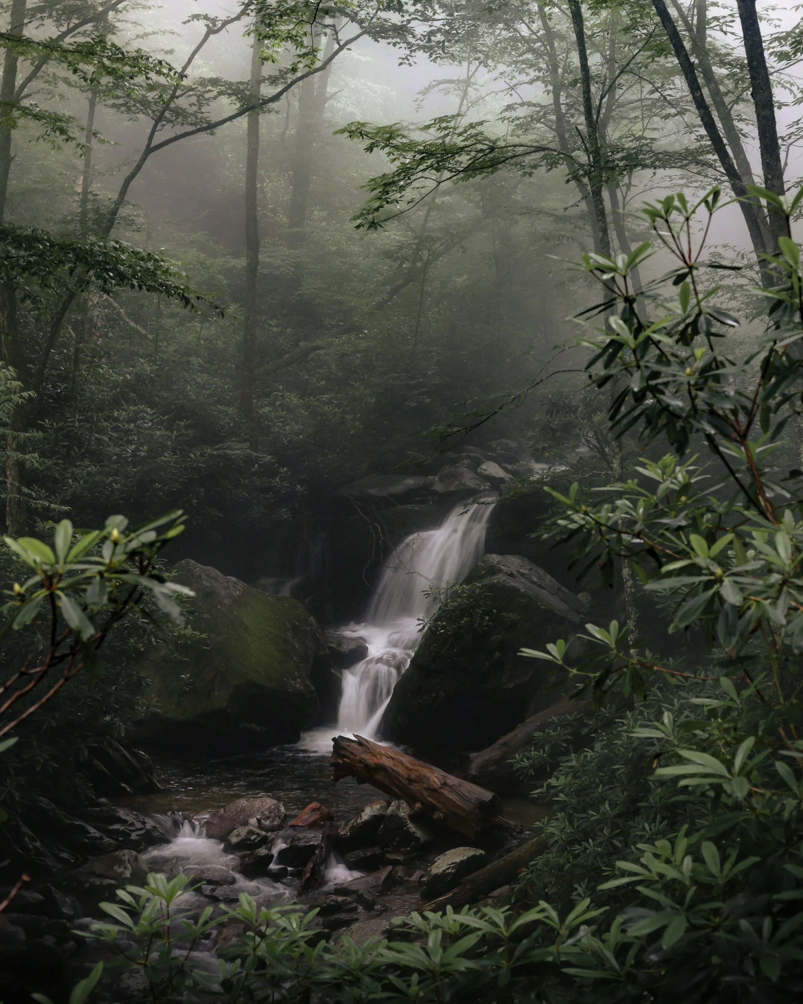Lower falls