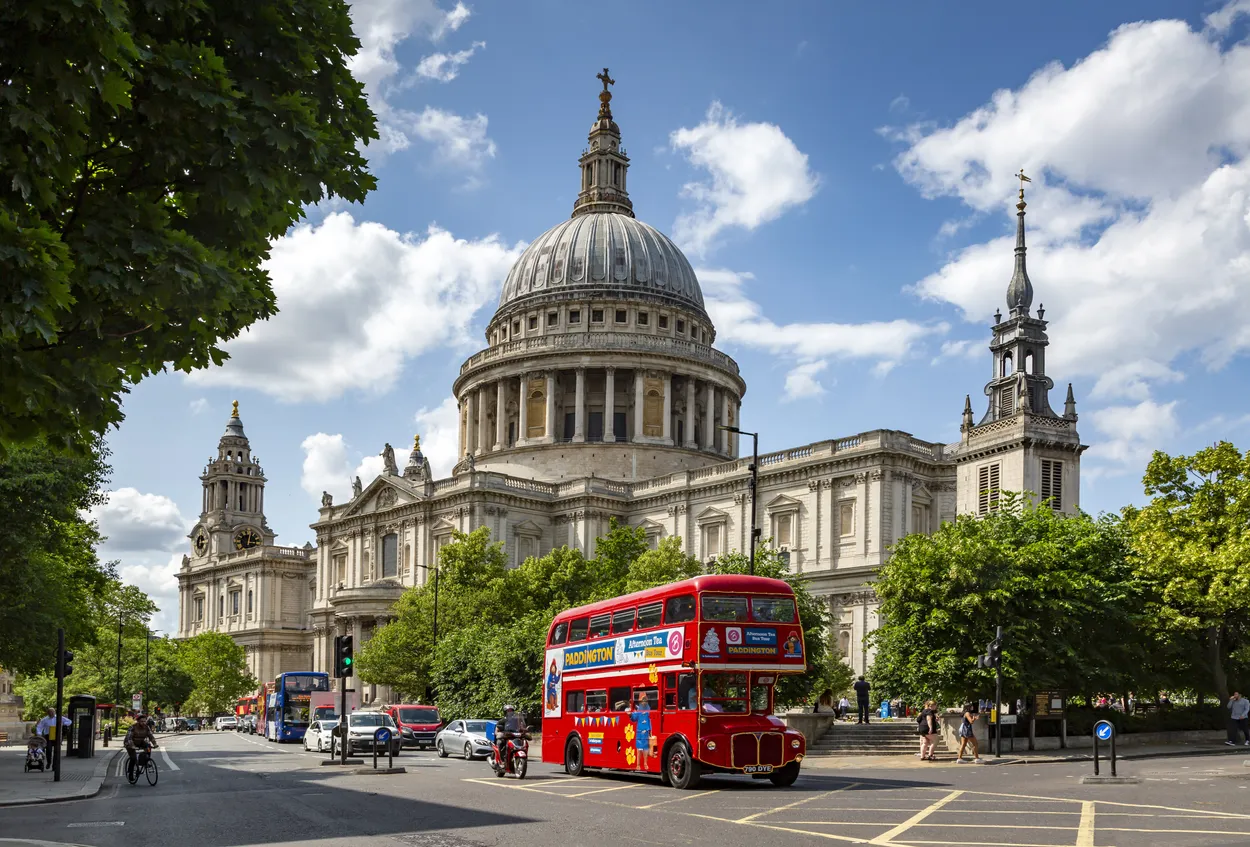 Entry 17009560