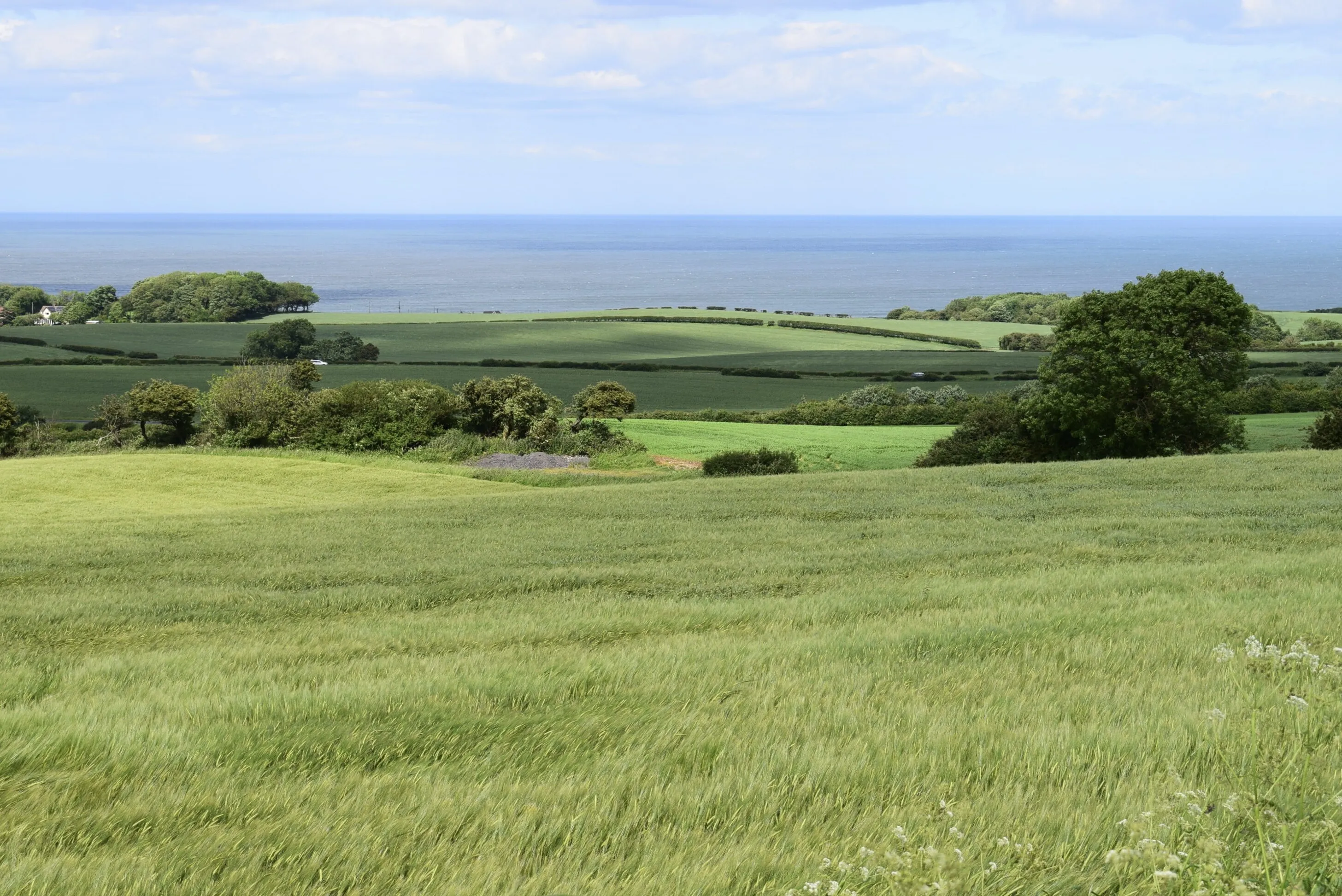 View Over Hunmanby Fields