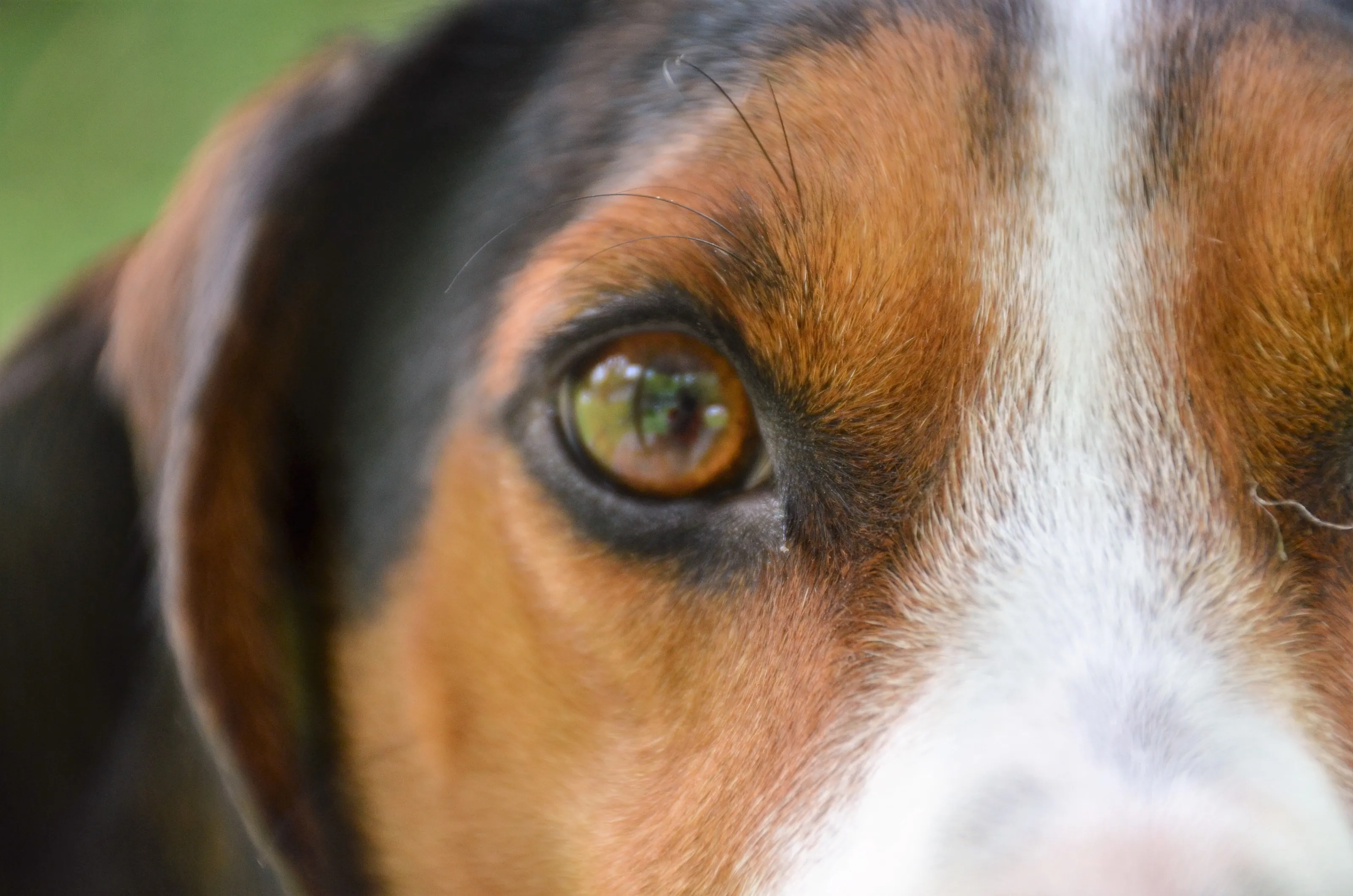 Eye of the beholder