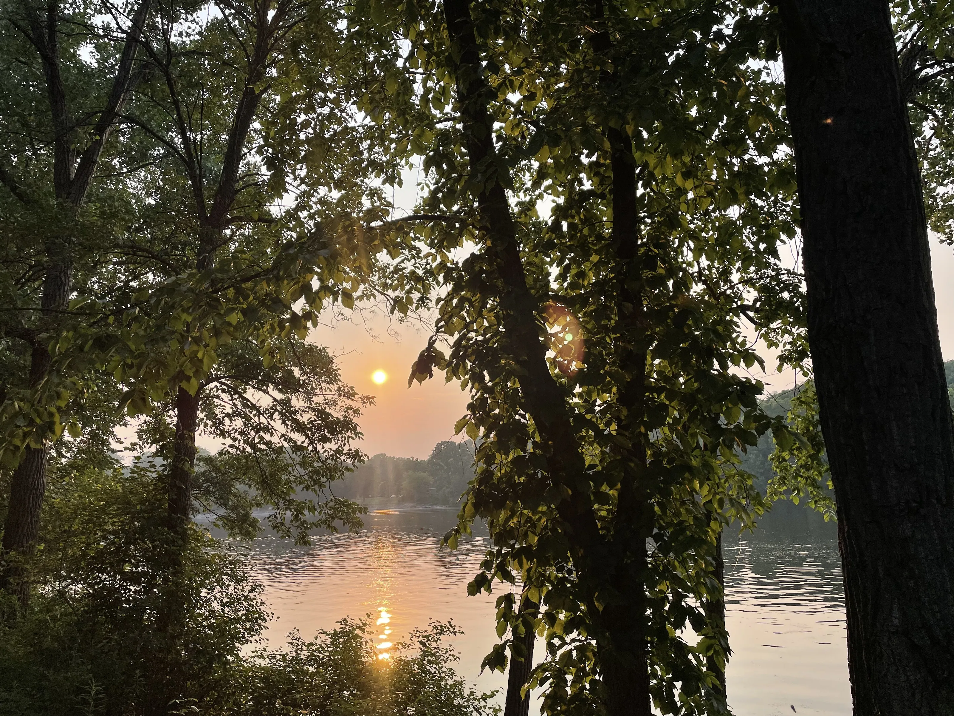 Appleton sunsets